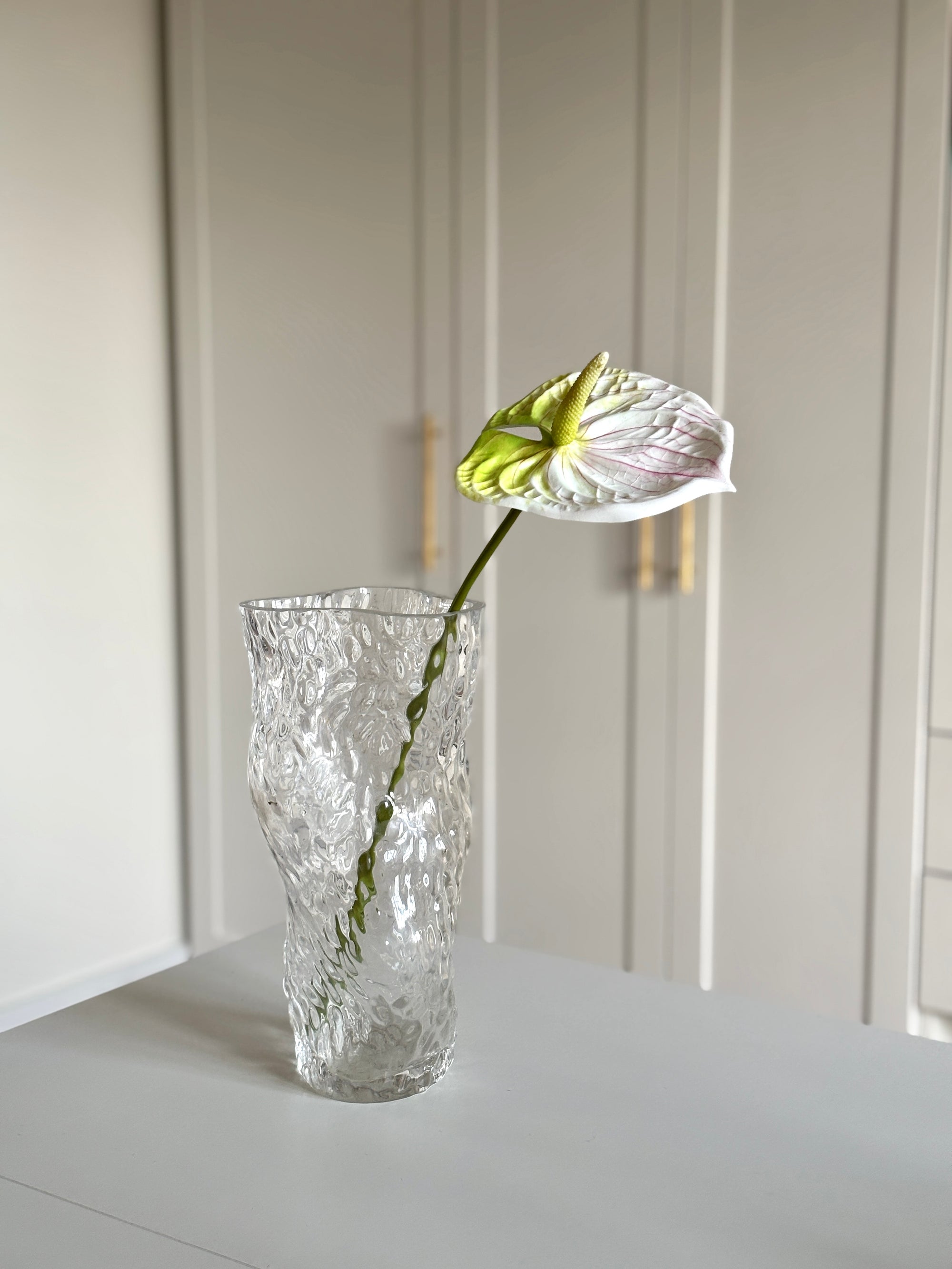 Anthurium - Hvid/ Grøn