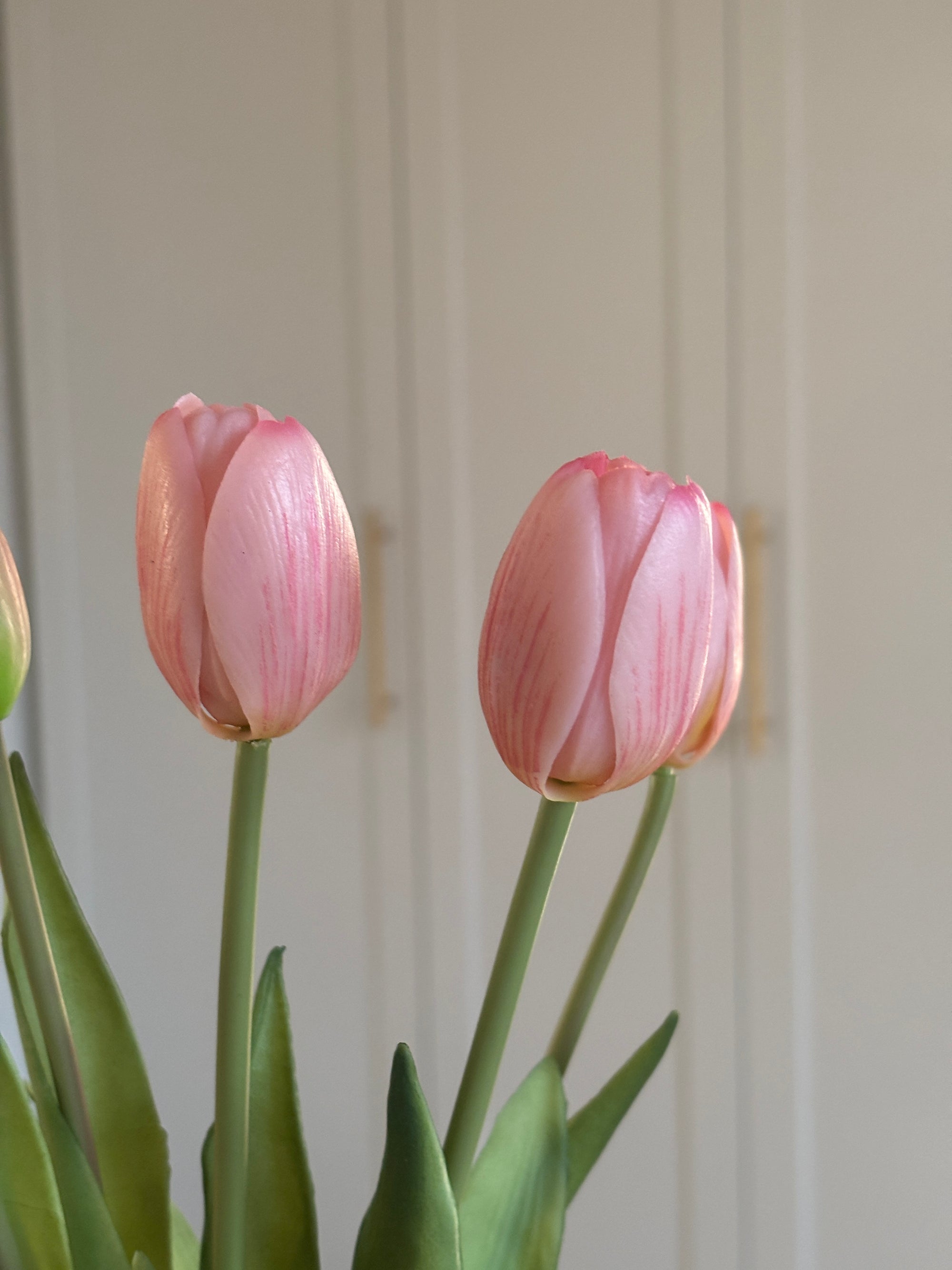 Tulipaner - Lyserød
