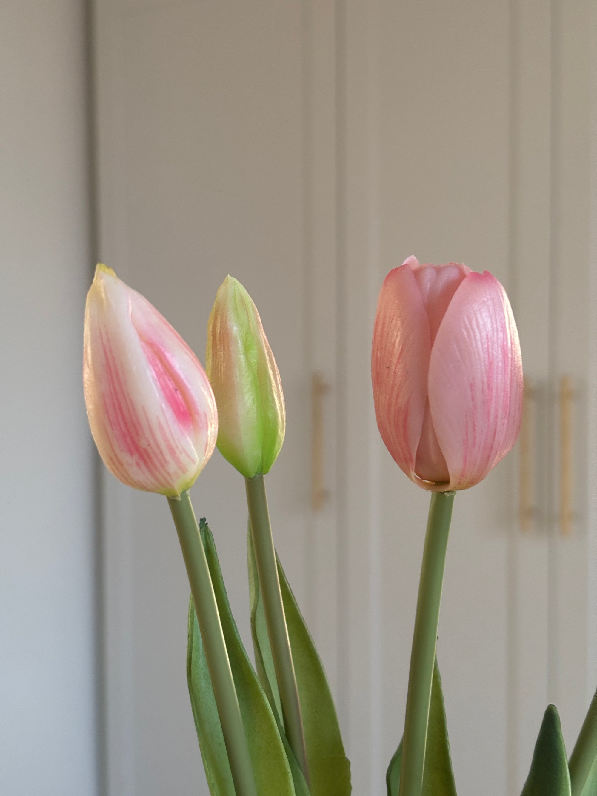 Tulipaner - Lyserød