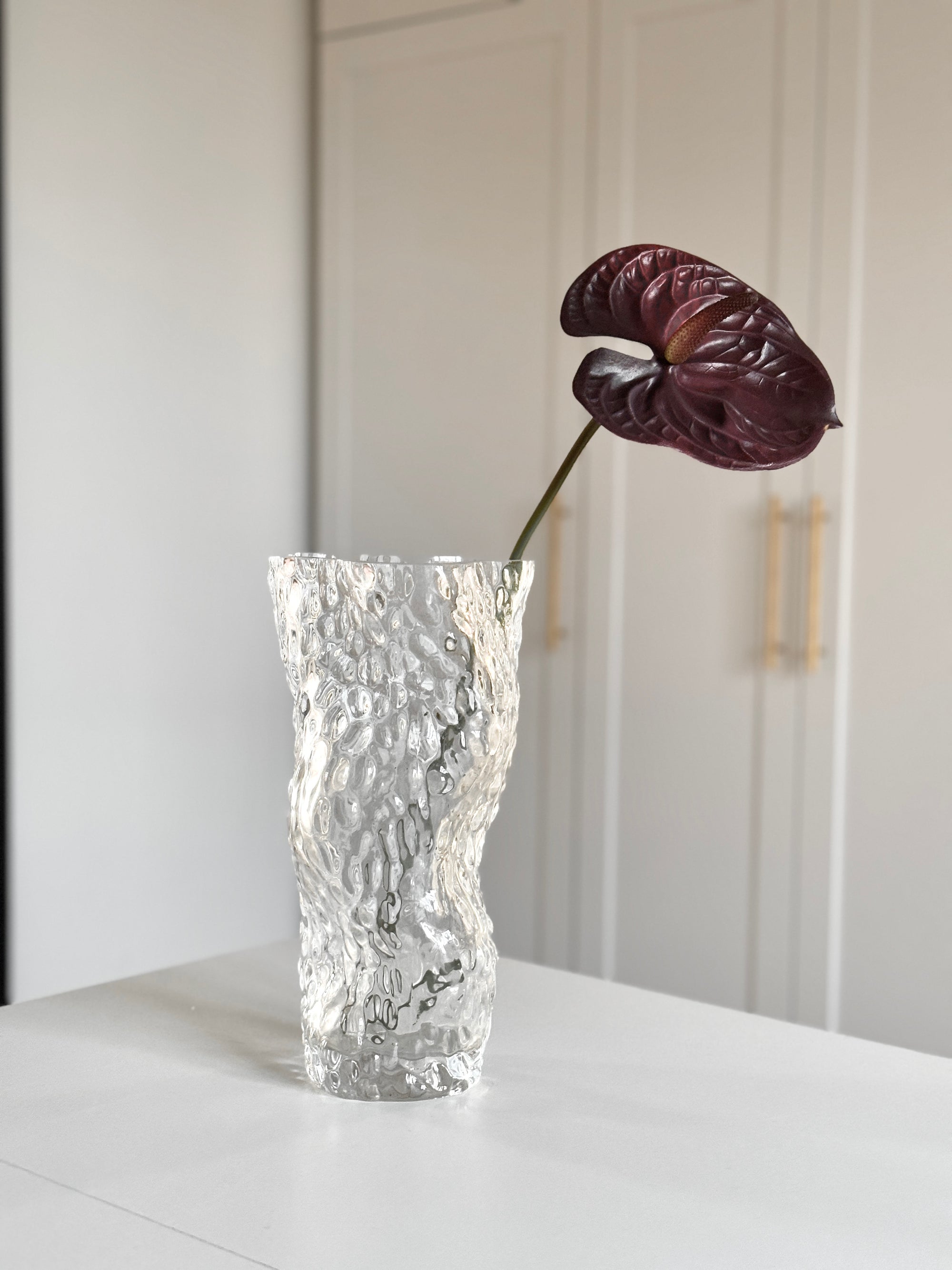 Anthurium - Burgundy