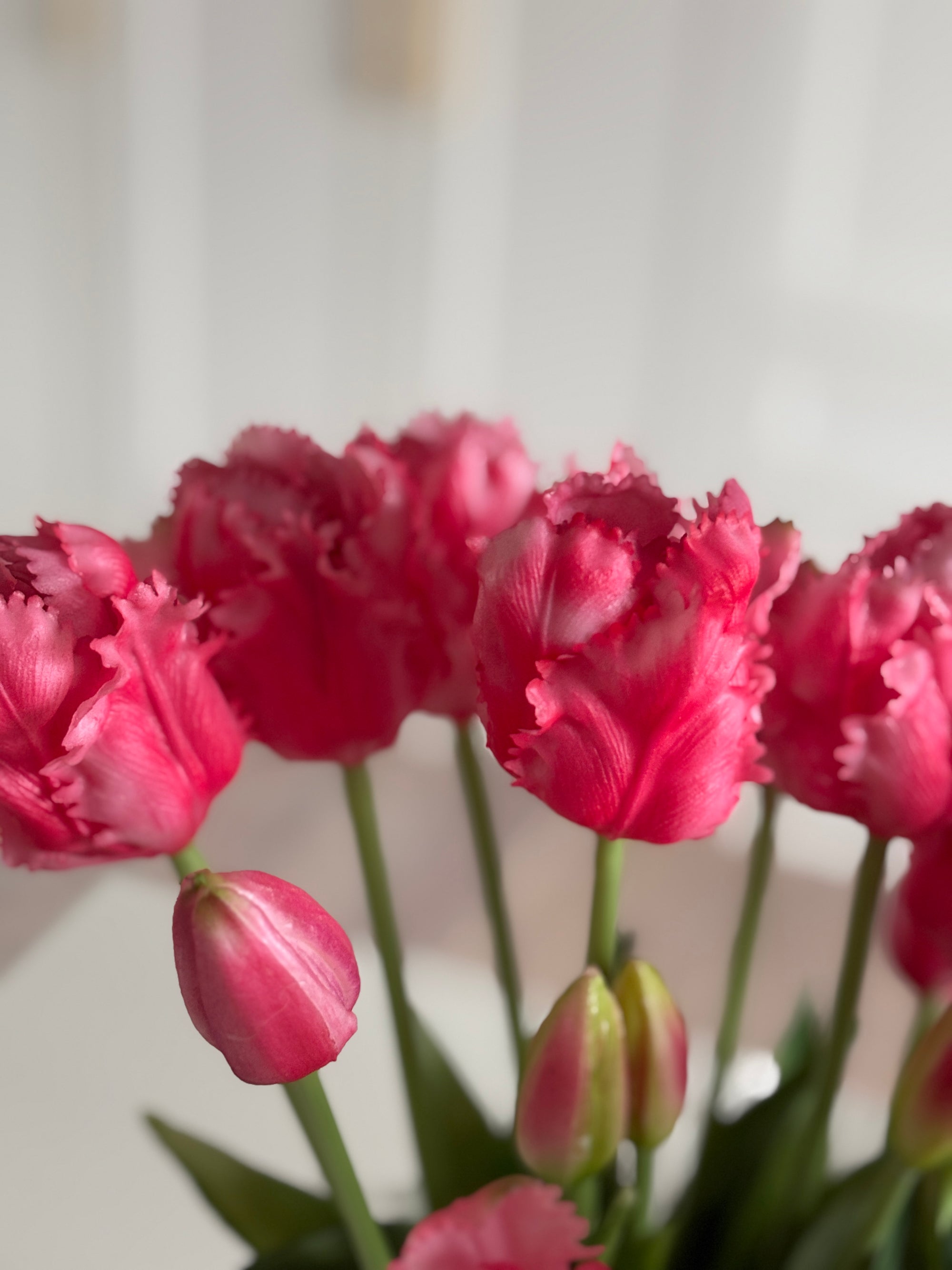 Pink Papegøjetulipan Buket