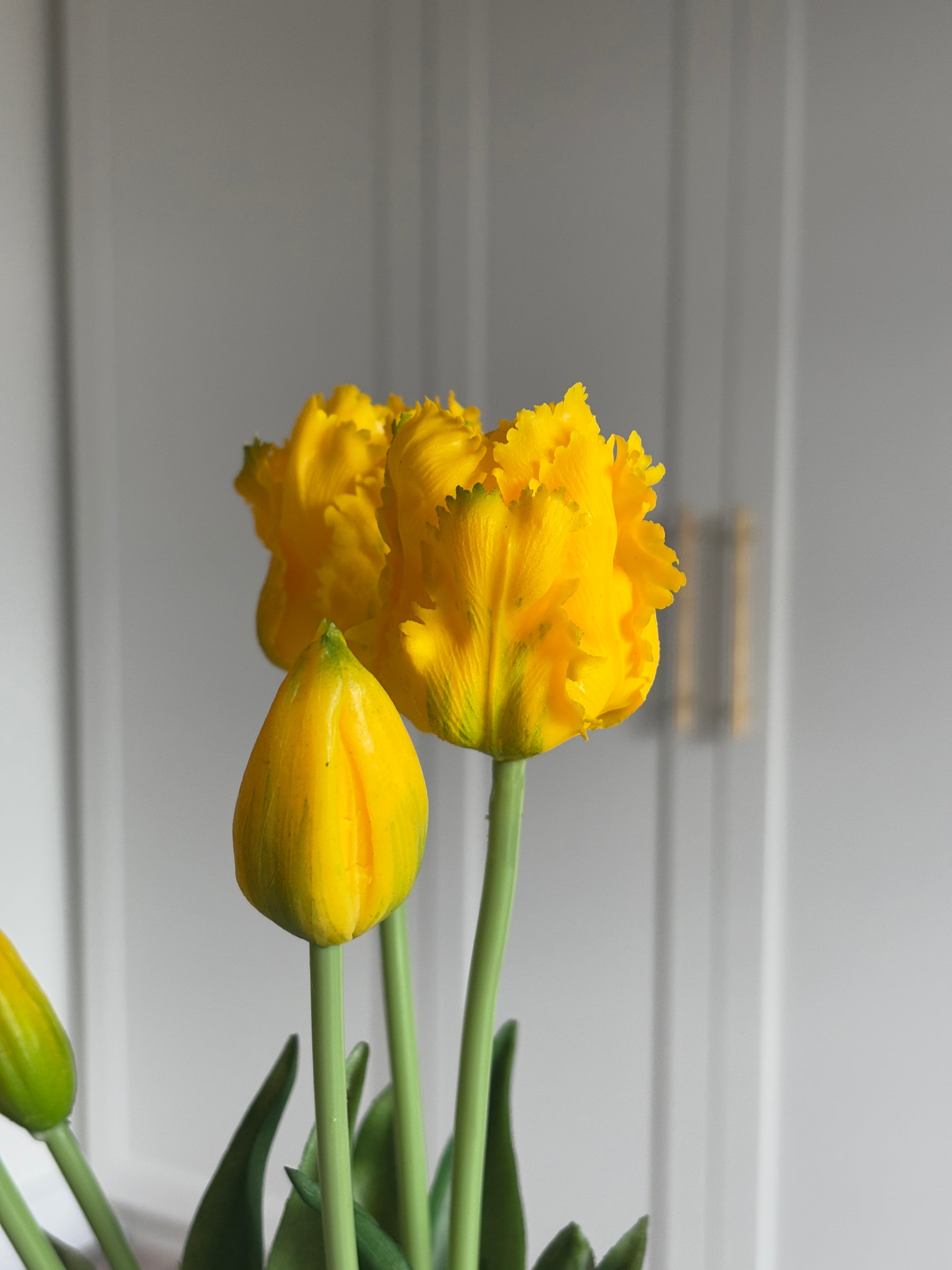 Papegøje Tulipaner - Gul