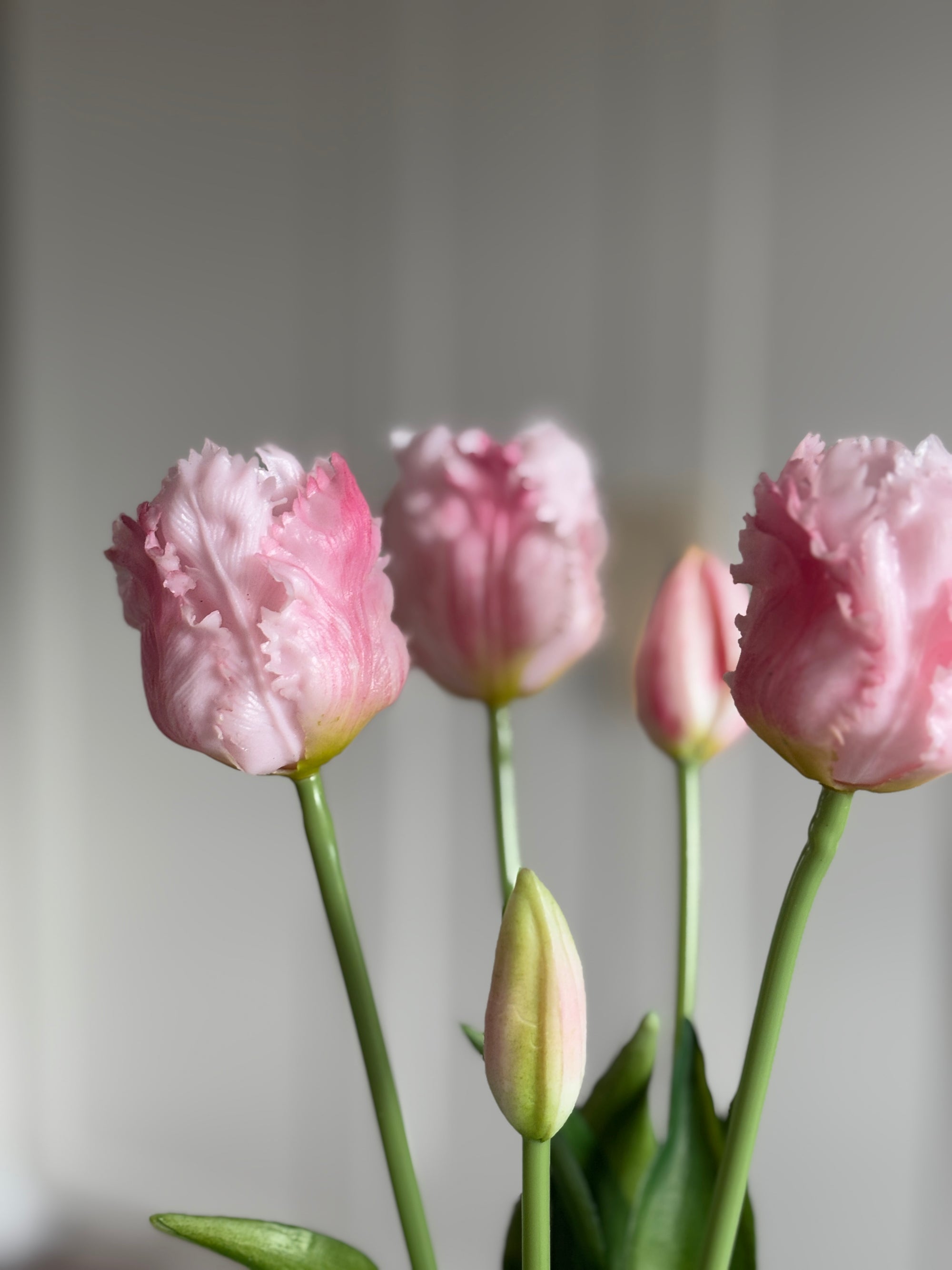 Papegøje Tulipaner - Lyserød