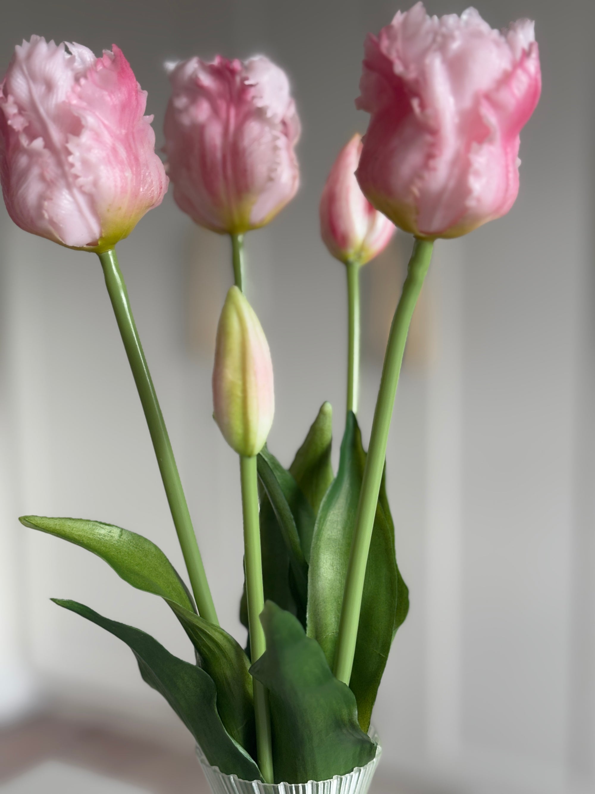 Papegøje Tulipaner - Lyserød