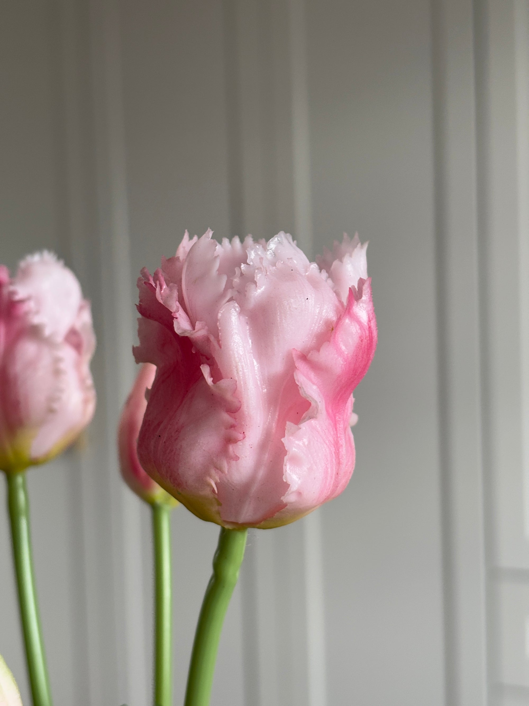 Papegøje Tulipaner - Lyserød