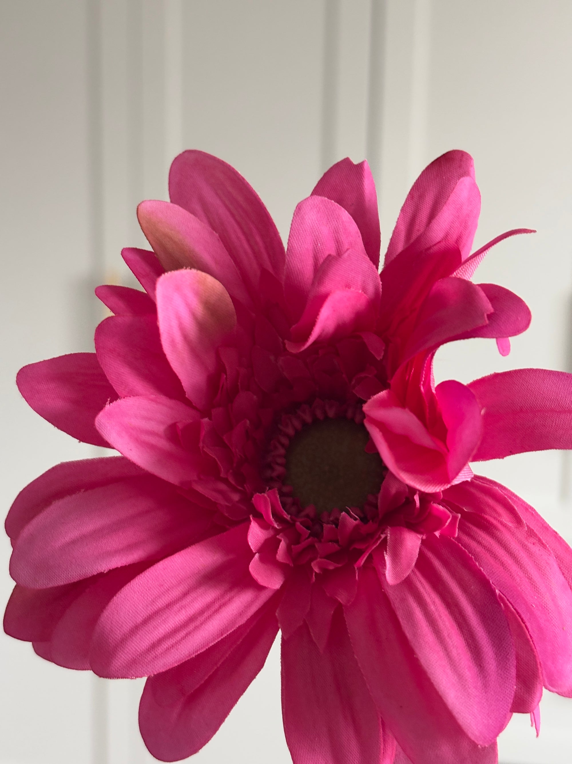 Gerbera - Pink