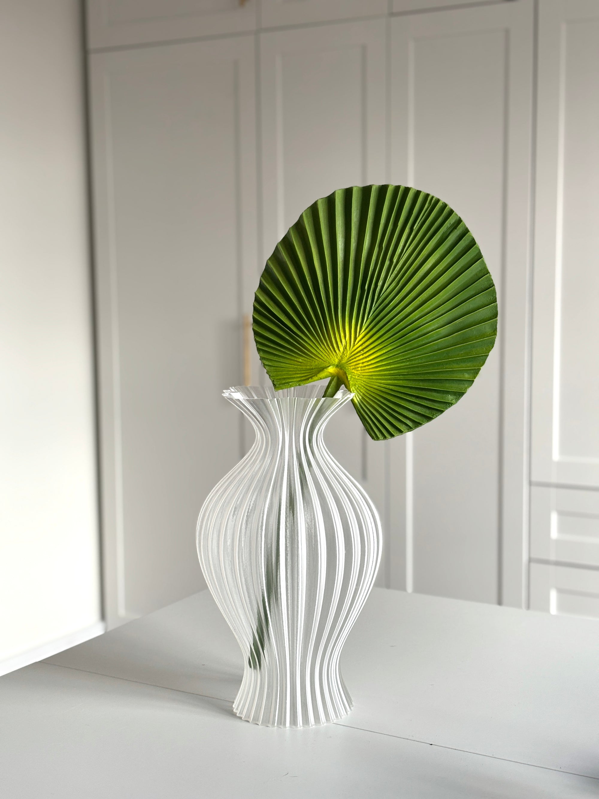 Fan Palm Lille