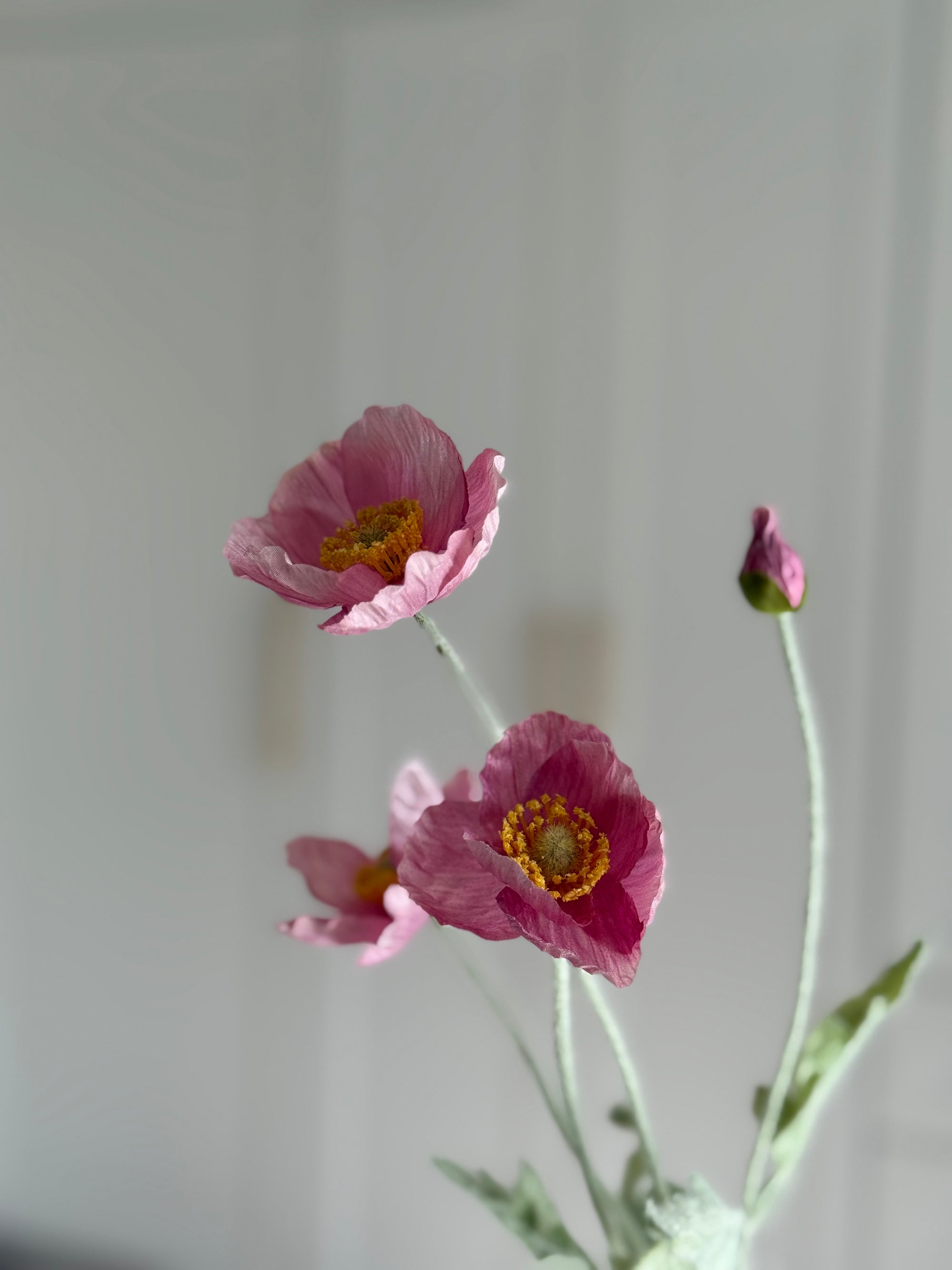 Valmue - Pink