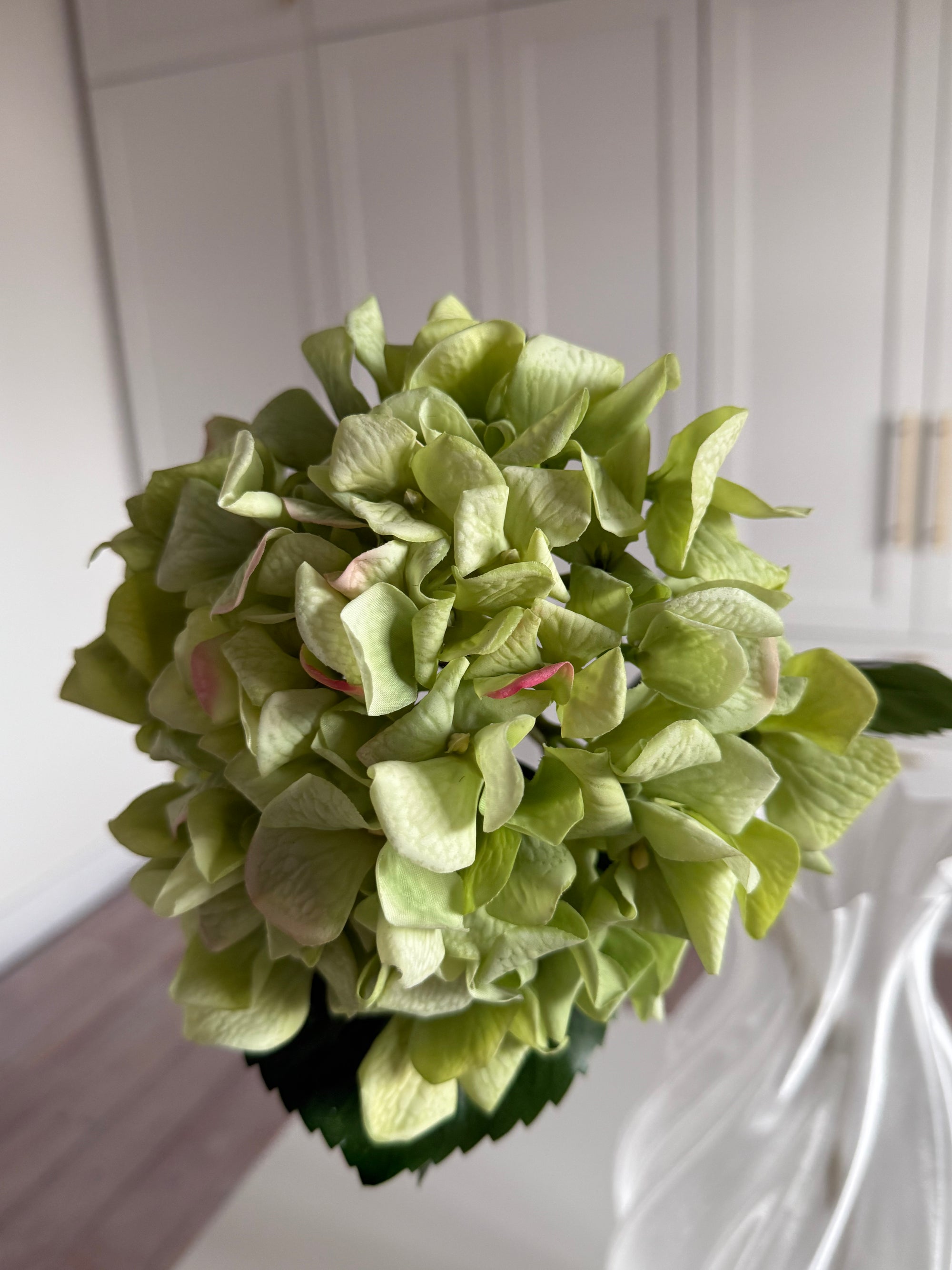 Hortensia Ruffle - Grøn