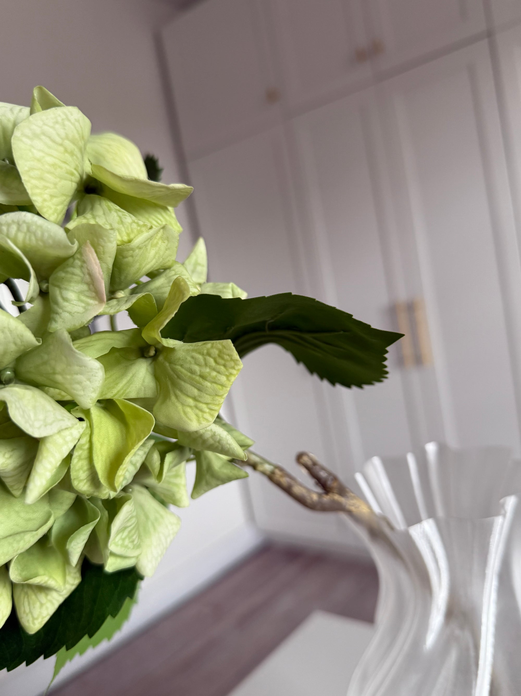 Hortensia Ruffle - Grøn
