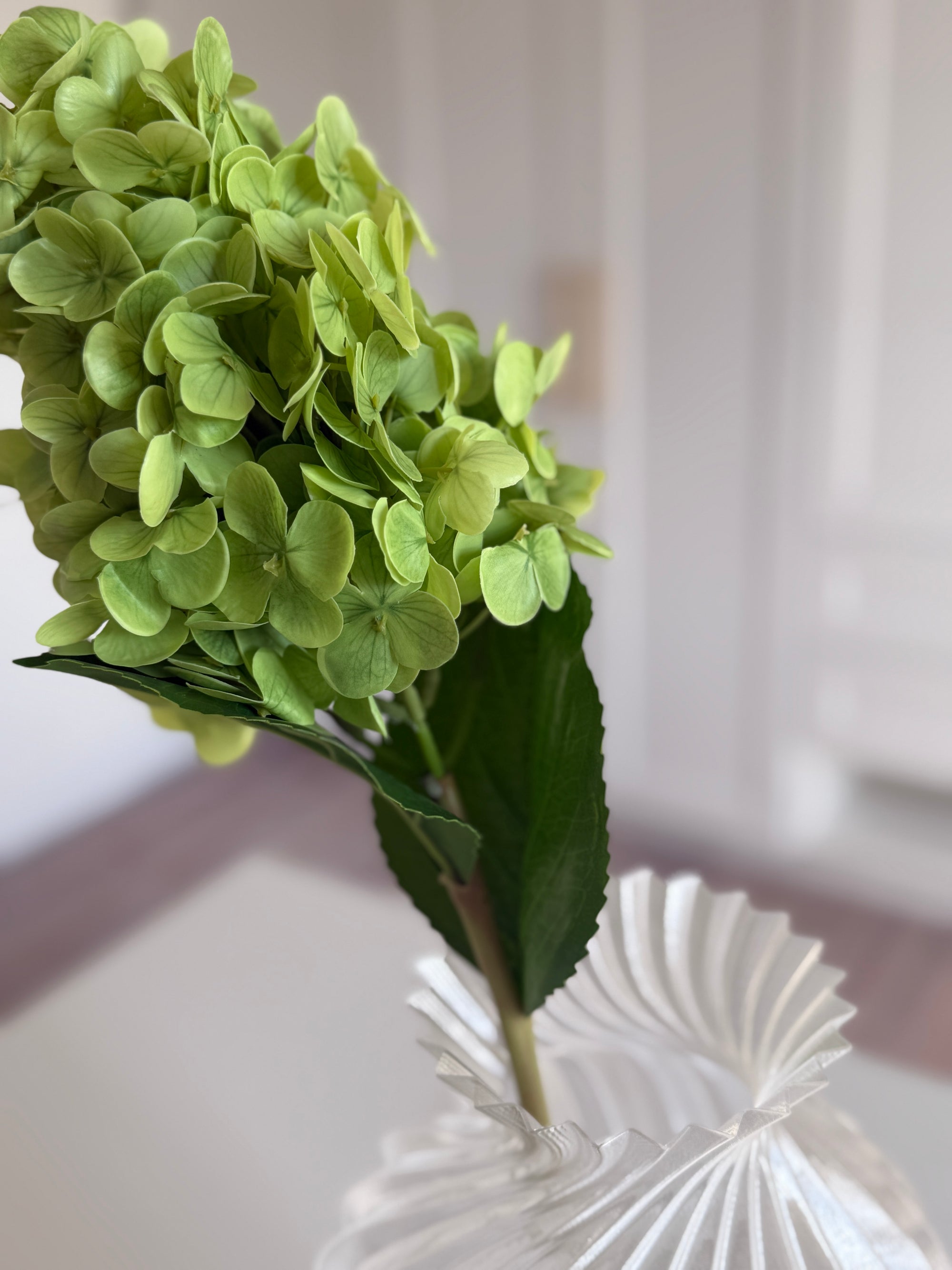 Syrenhortensia - Grøn