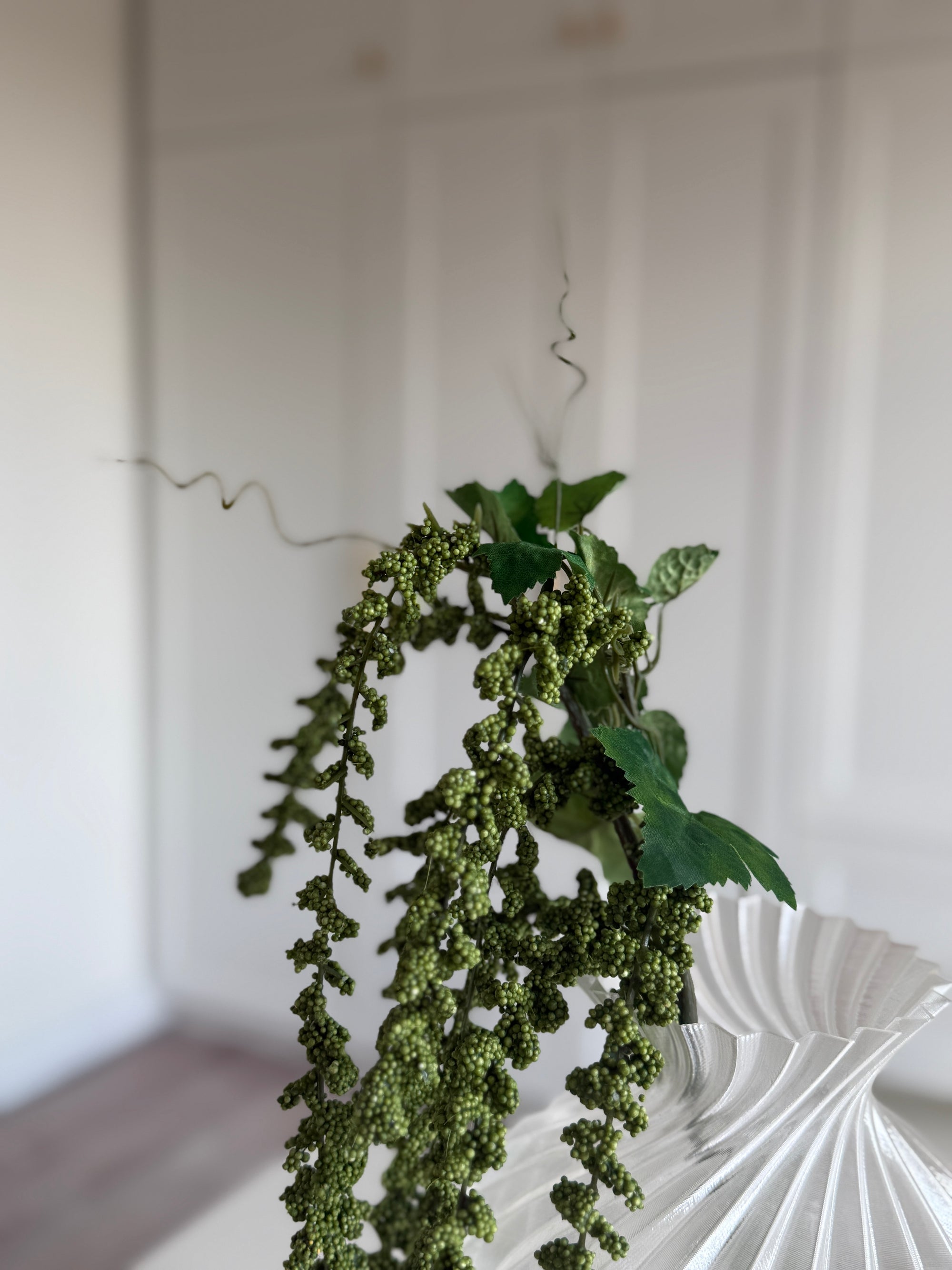 Amaranthus Vitis