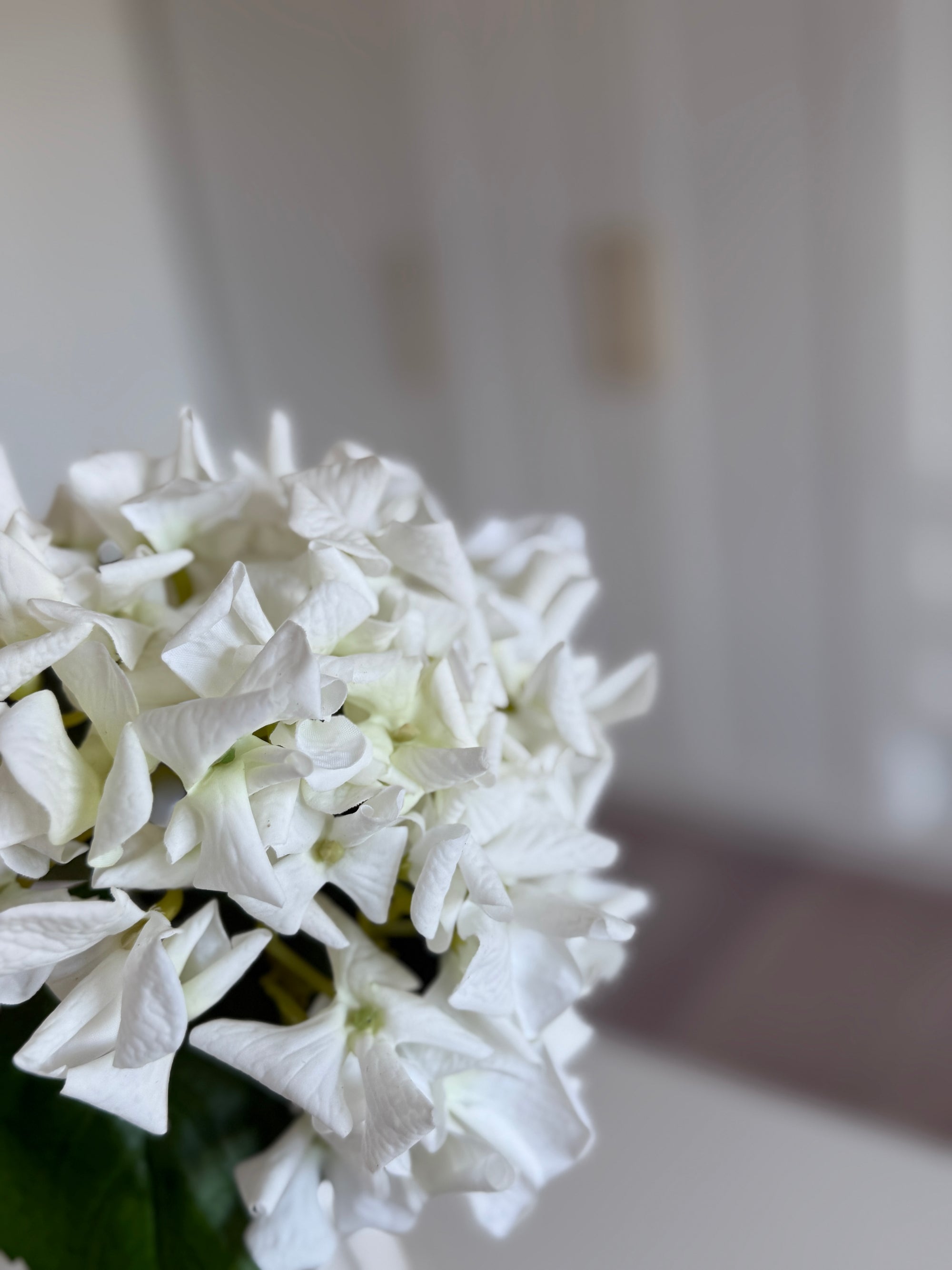 Hortensia Ruffle - Hvid