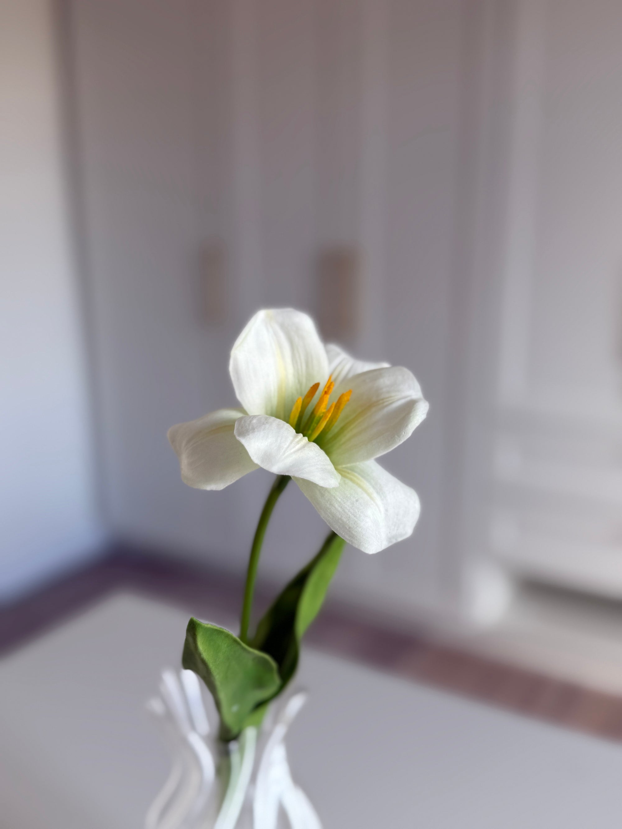 Tulipan Åben - Hvid