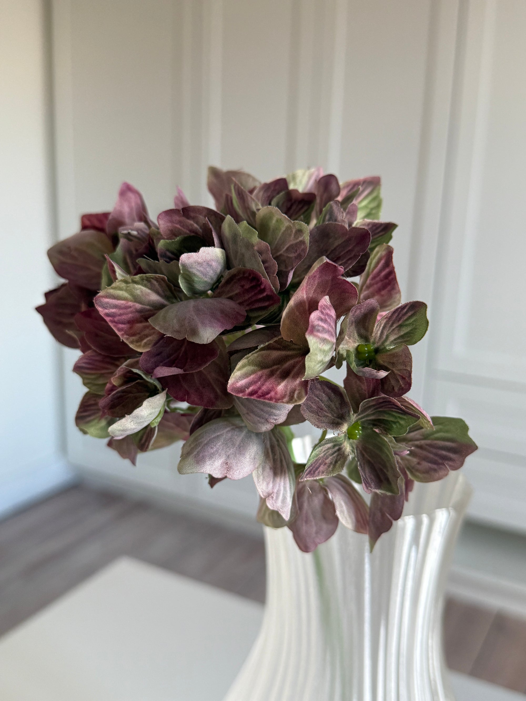 Hortensia Mini - Brun
