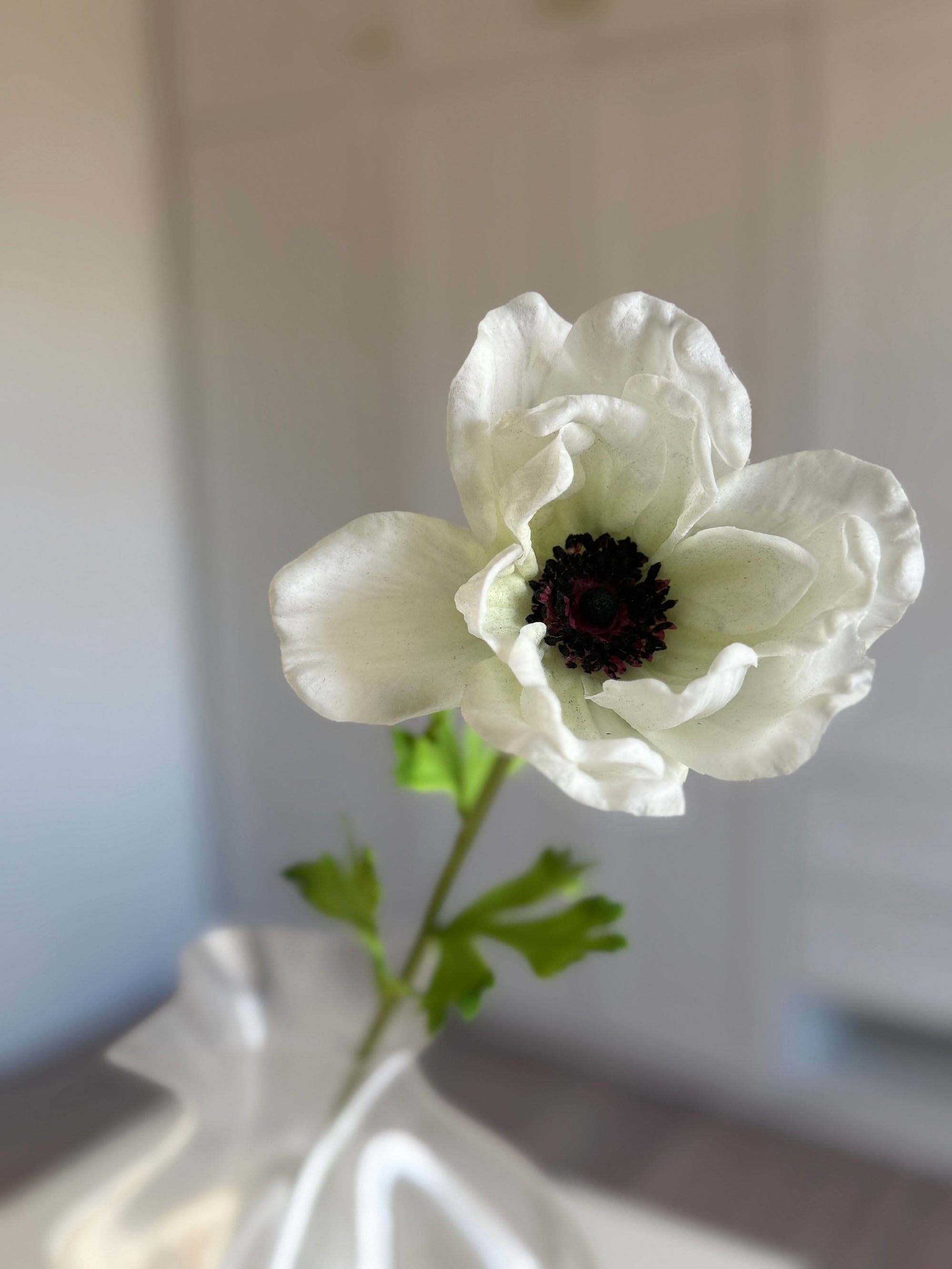 Anemone - Hvid