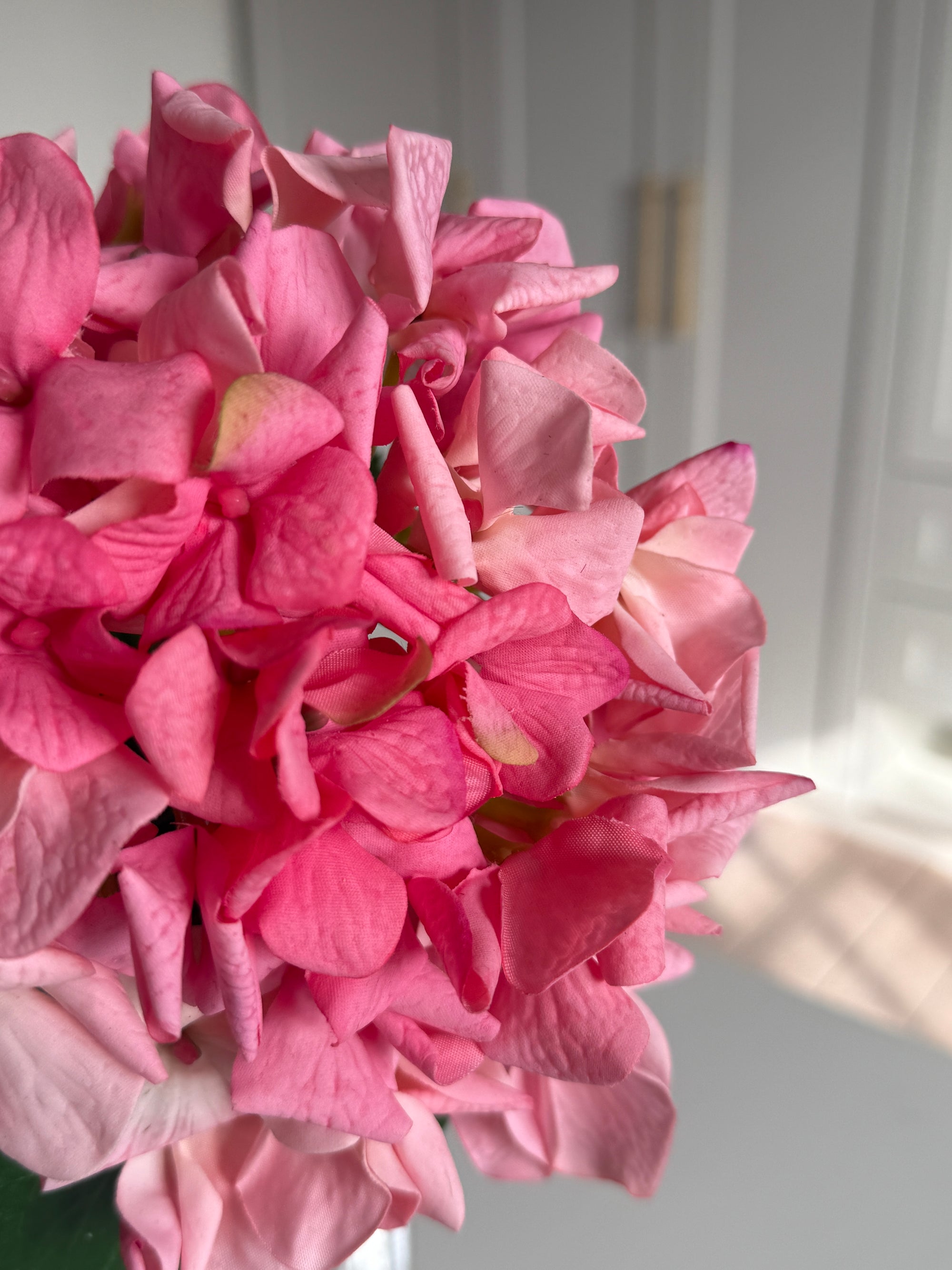 Hortensia Ruffle - Lyserød