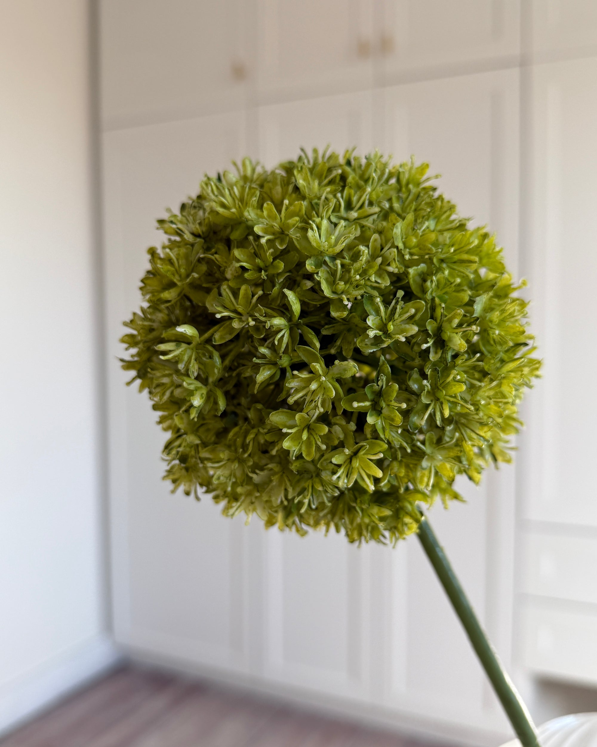 Allium Stor - Grøn