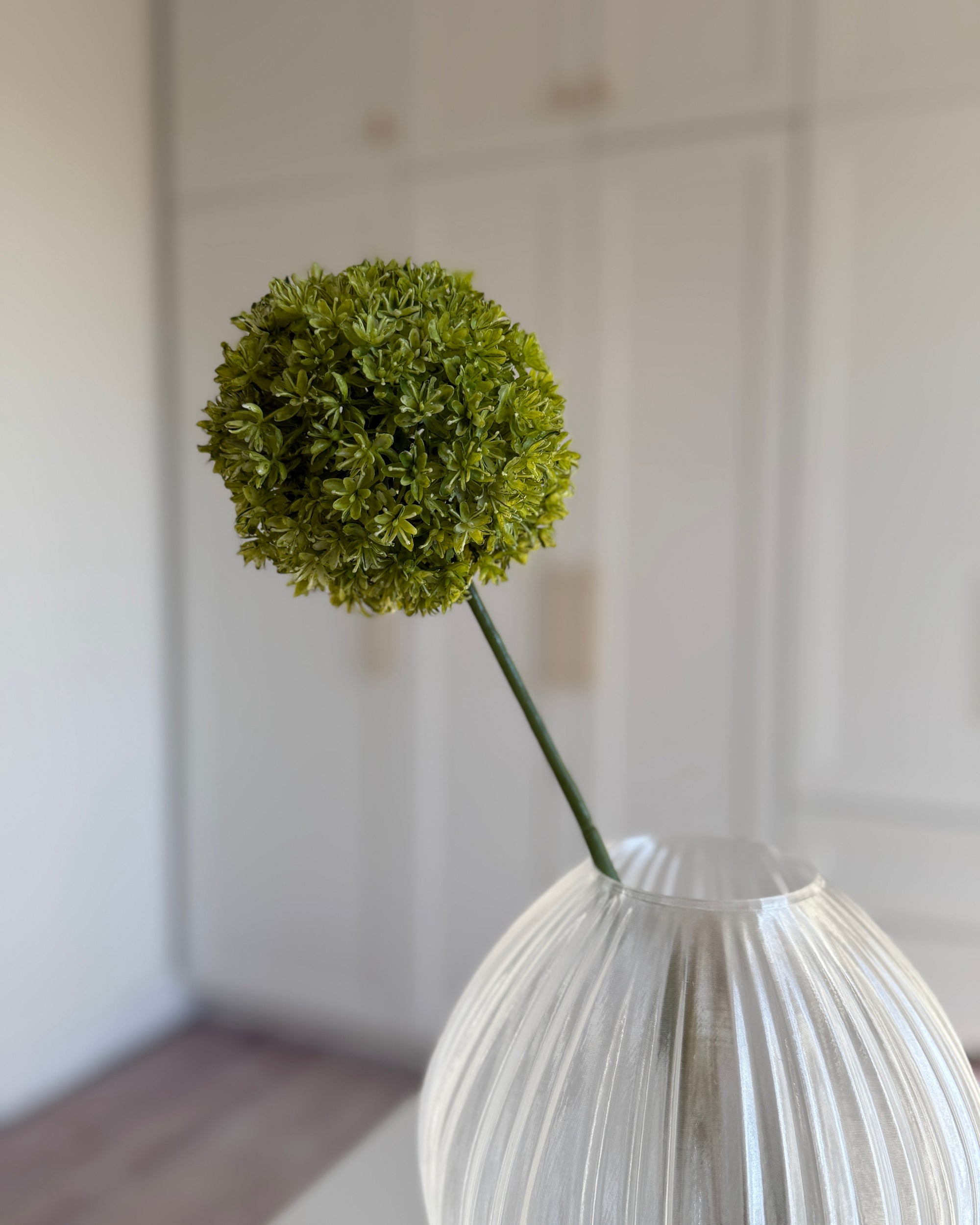 Allium Stor - Grøn