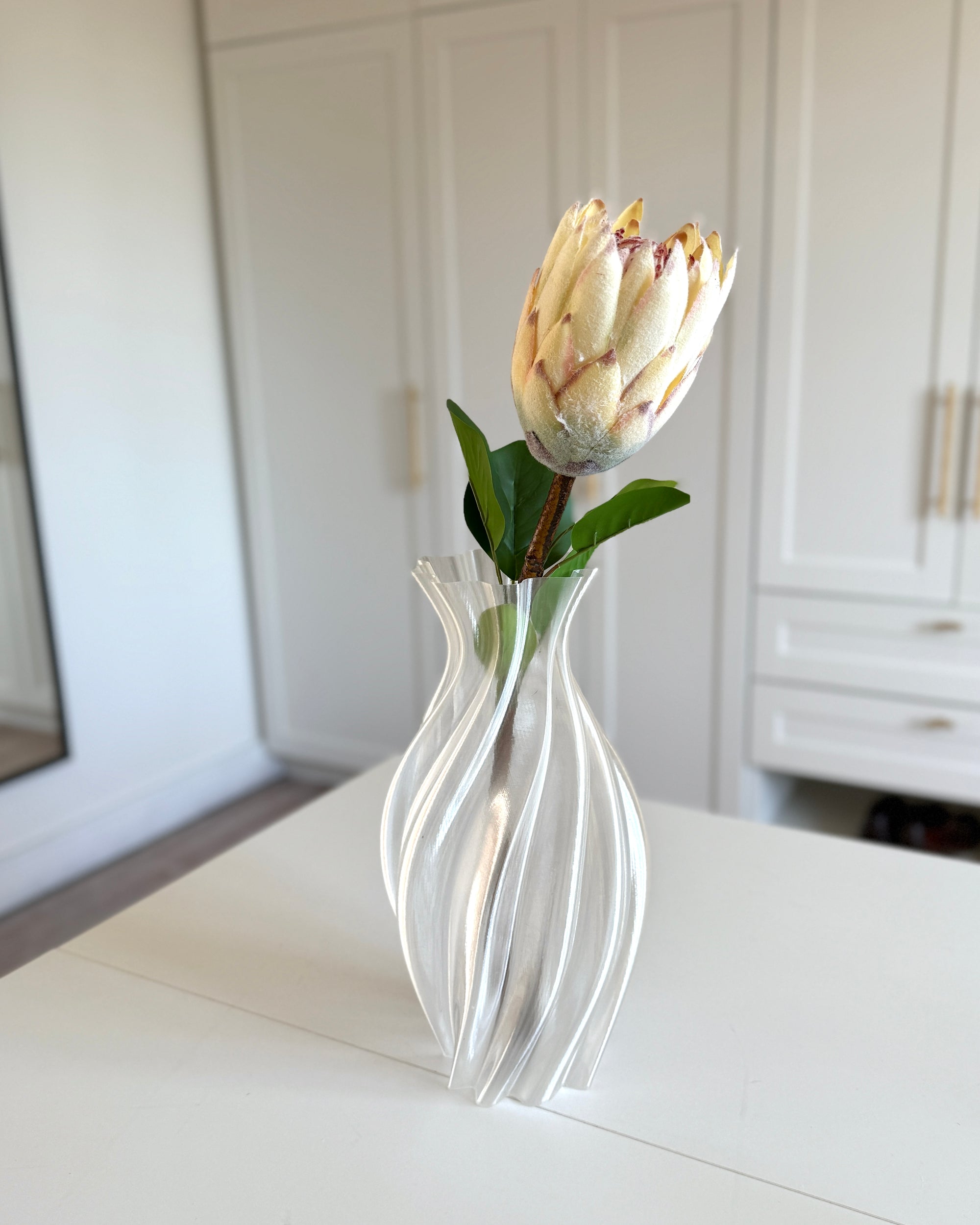 Protea Dusty - Champagne