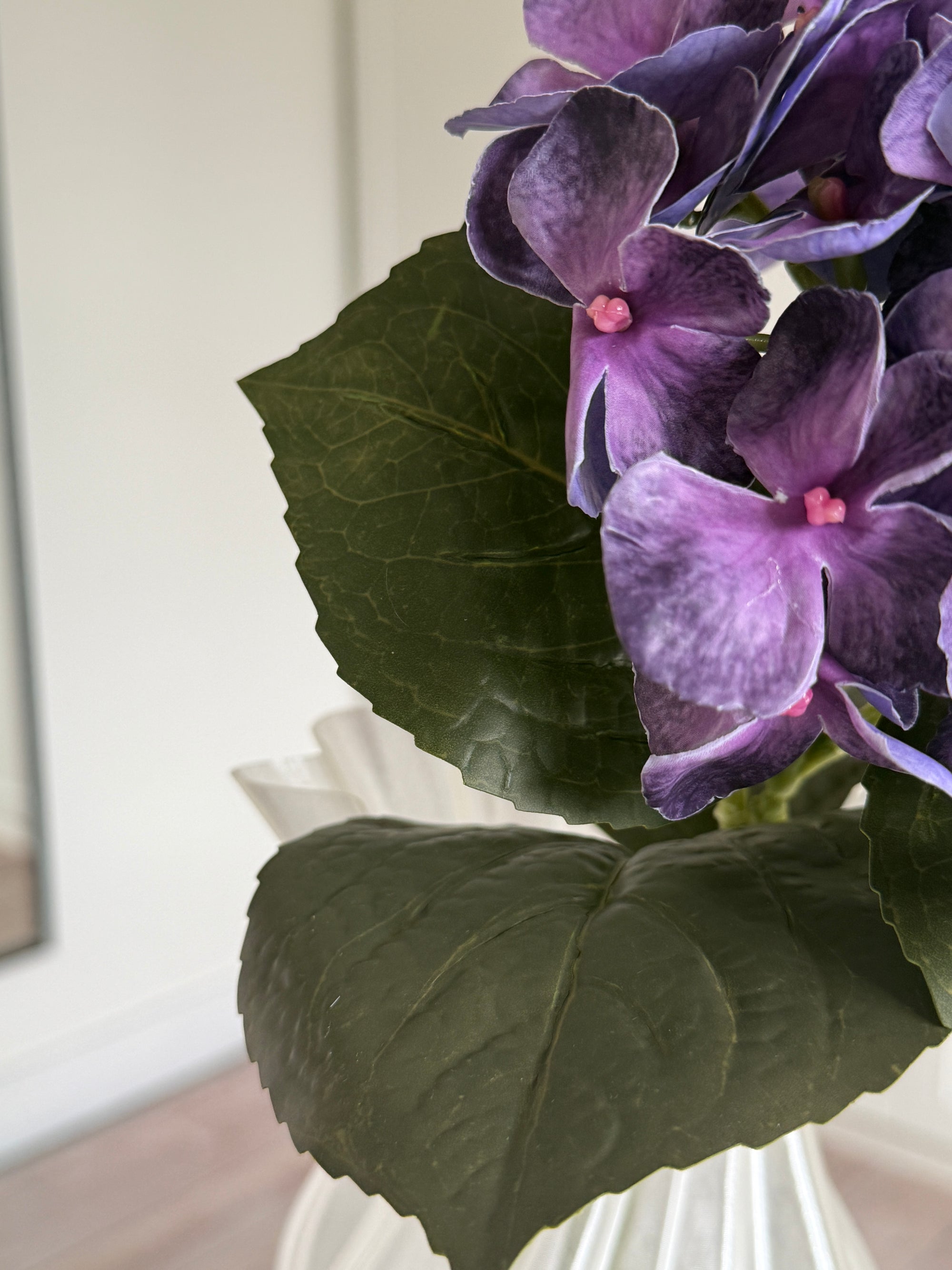 Hortensia Lille - Lilla
