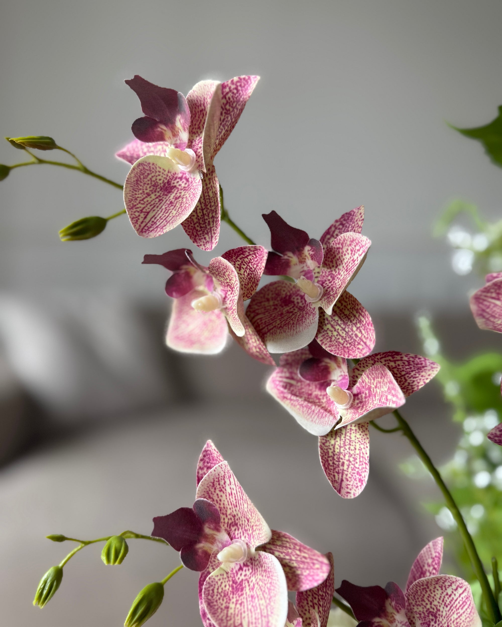 Bloom Poem Buket