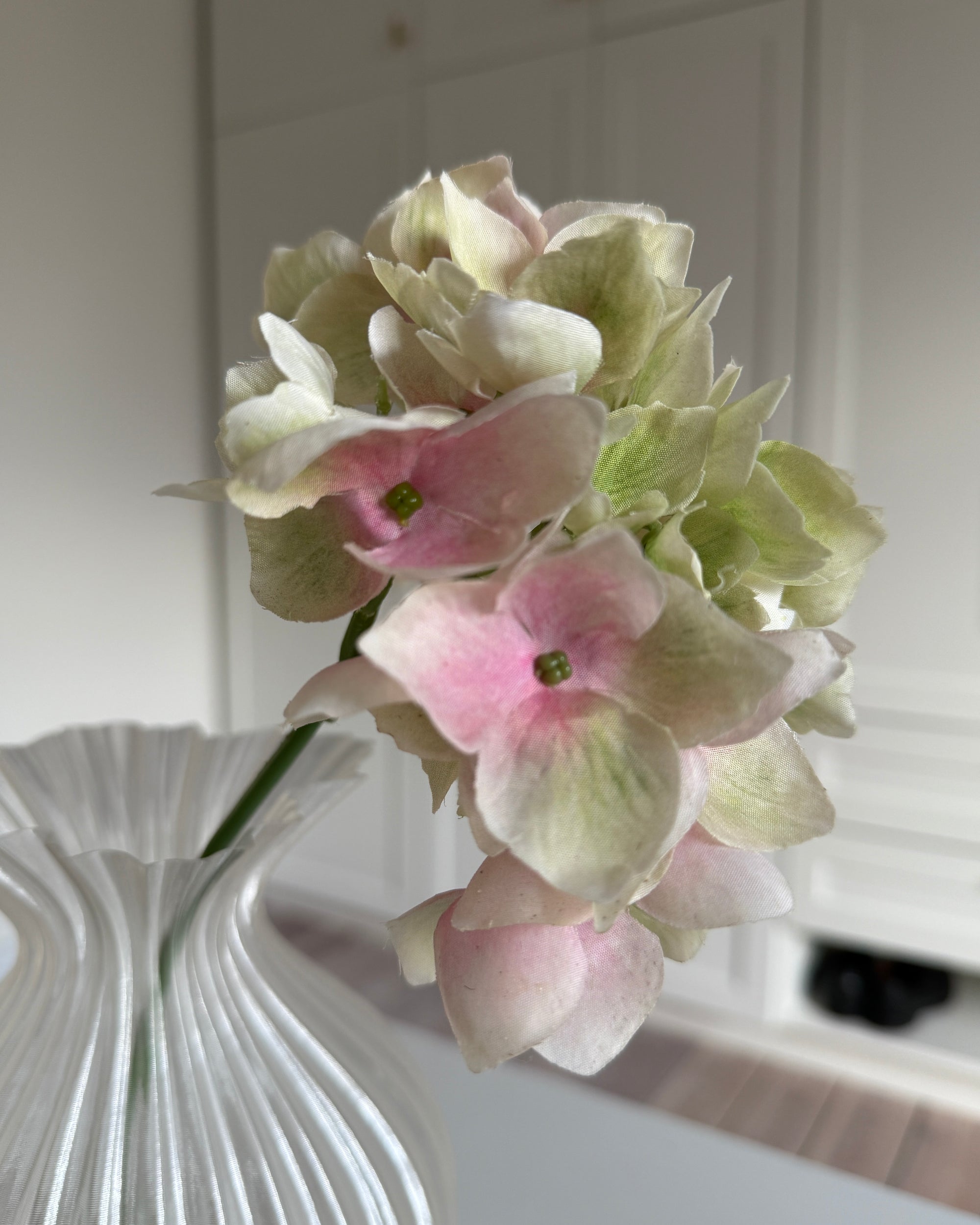 Hortensia Mini - Grøn