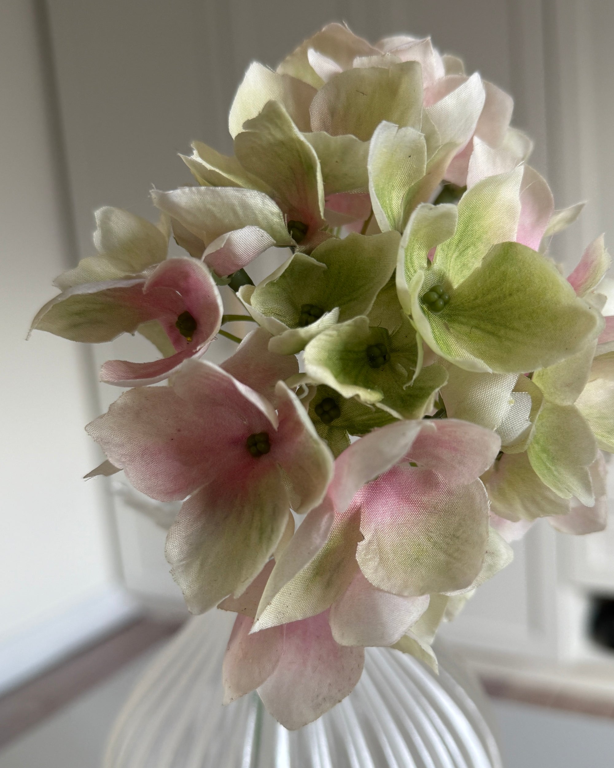 Hortensia Mini - Grøn