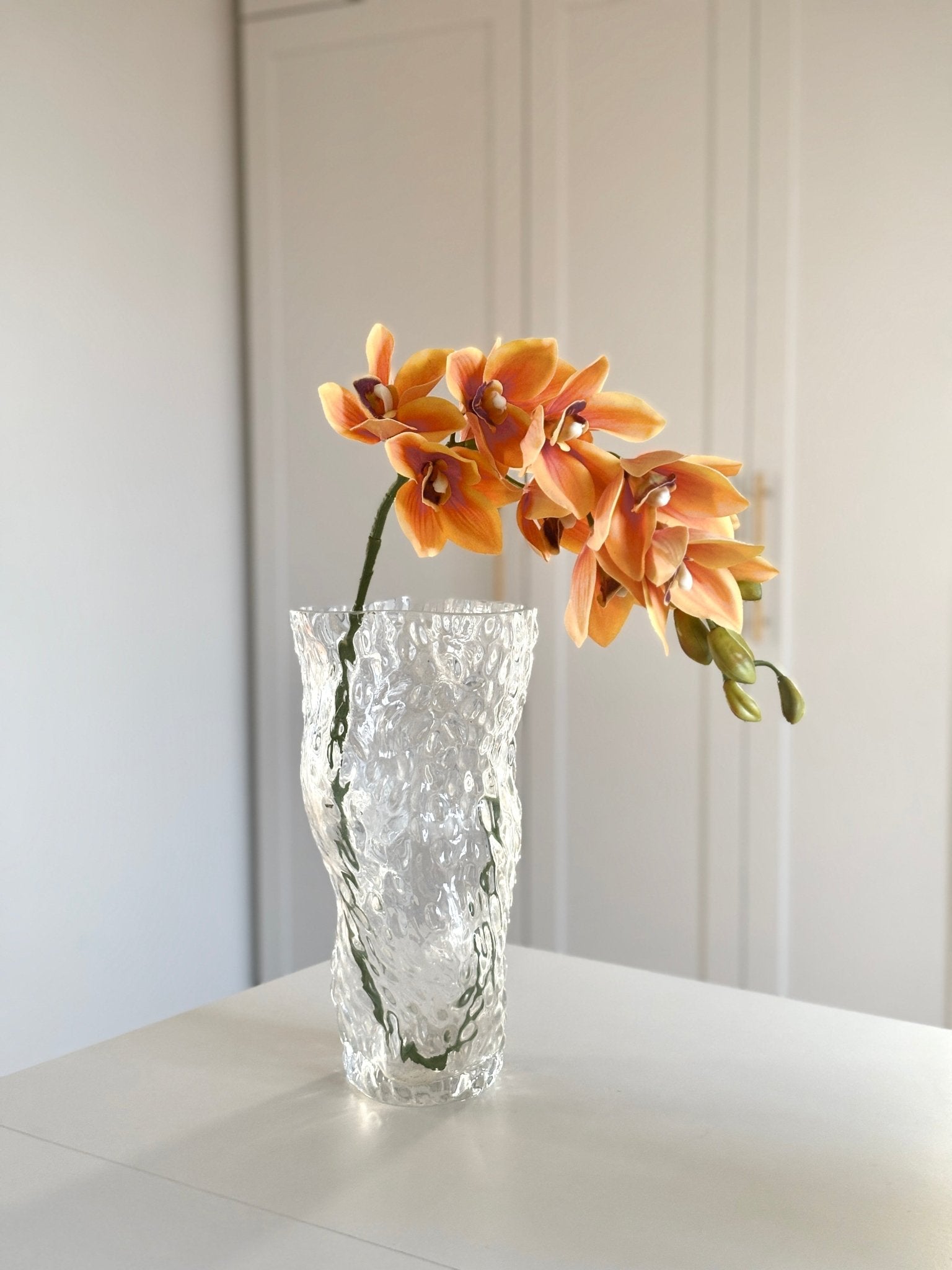 Cymbidium Orkide - Orange - Rare Copenhagen