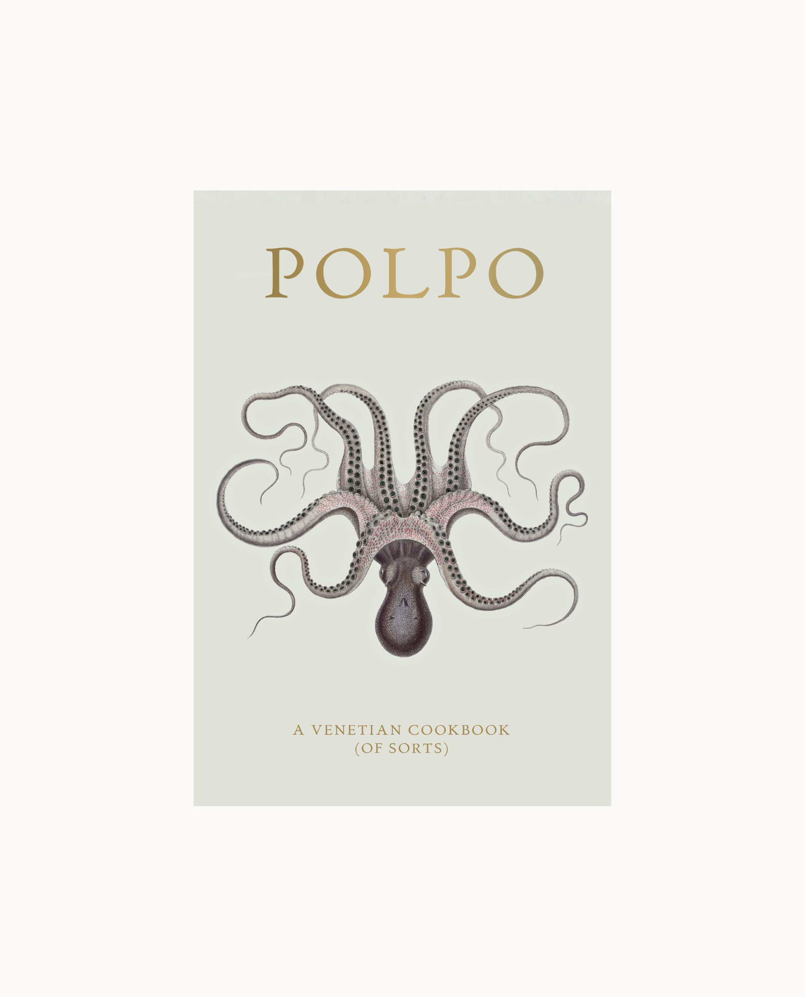 New Mags Polpo