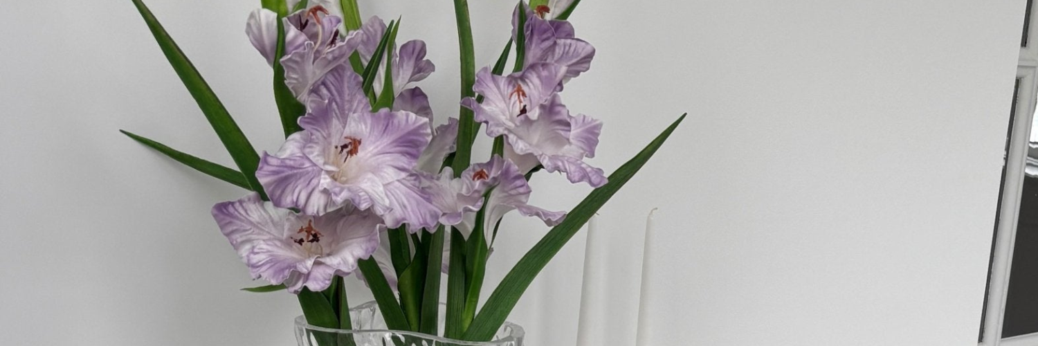Gladiolus