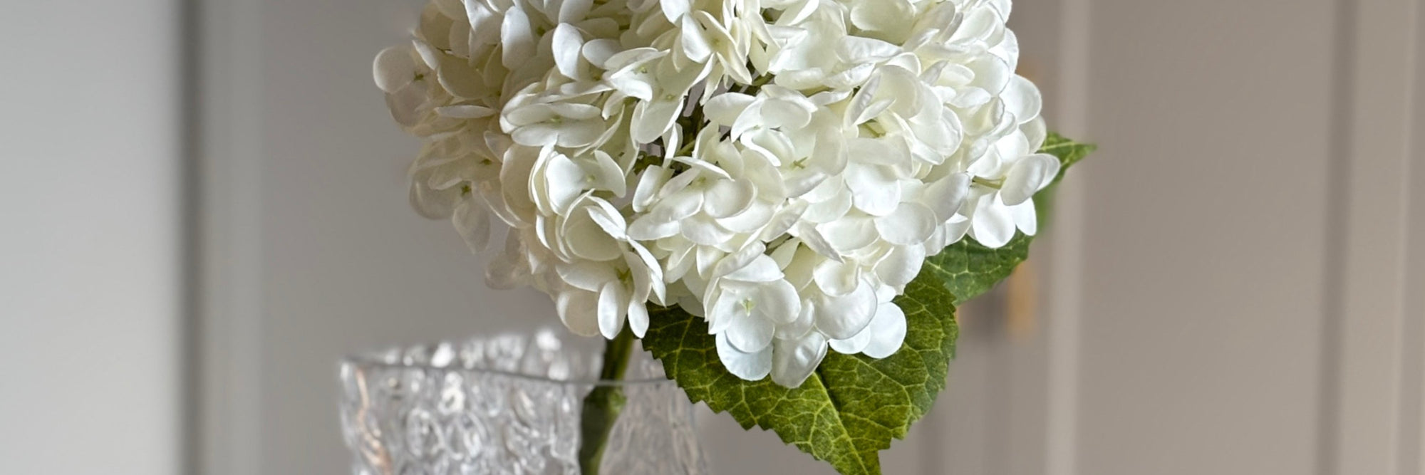 Hortensia - Rare Copenhagen