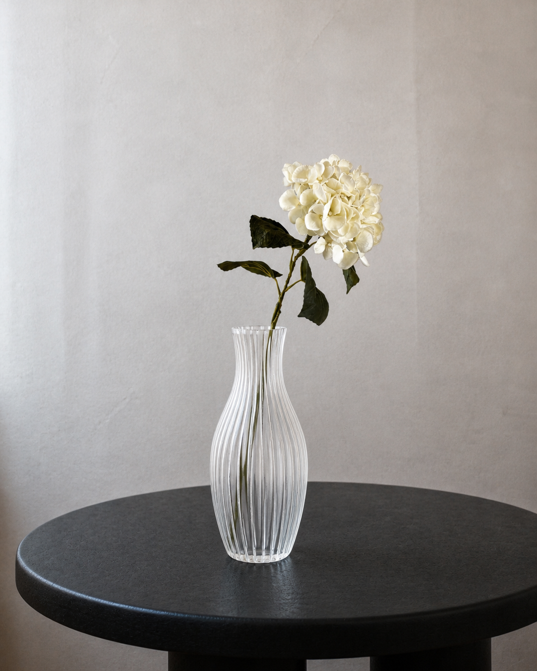 Hortensia Lille - Creme