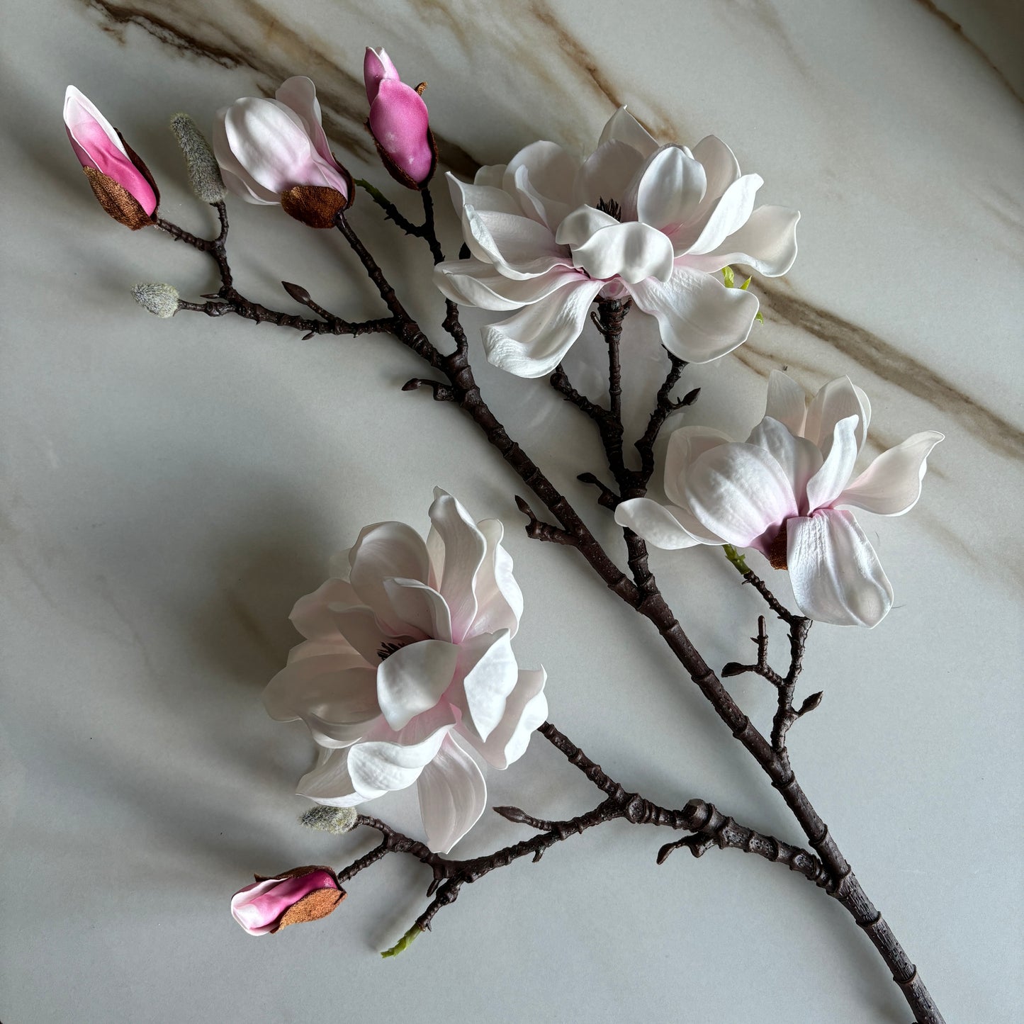 Magnoliagren Blomster