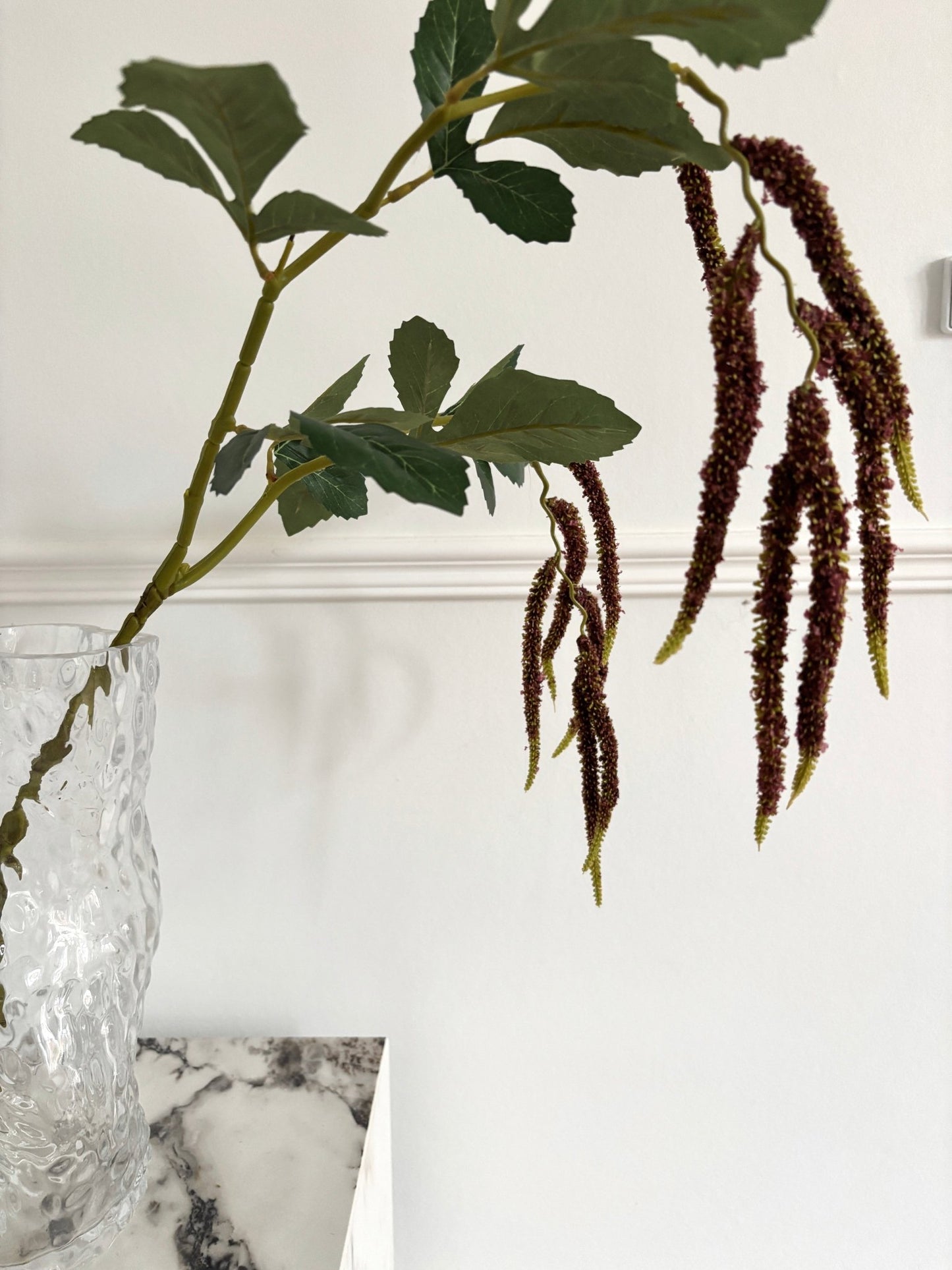 Amaranthus Rævehale - Mørkerød - Rare Copenhagen