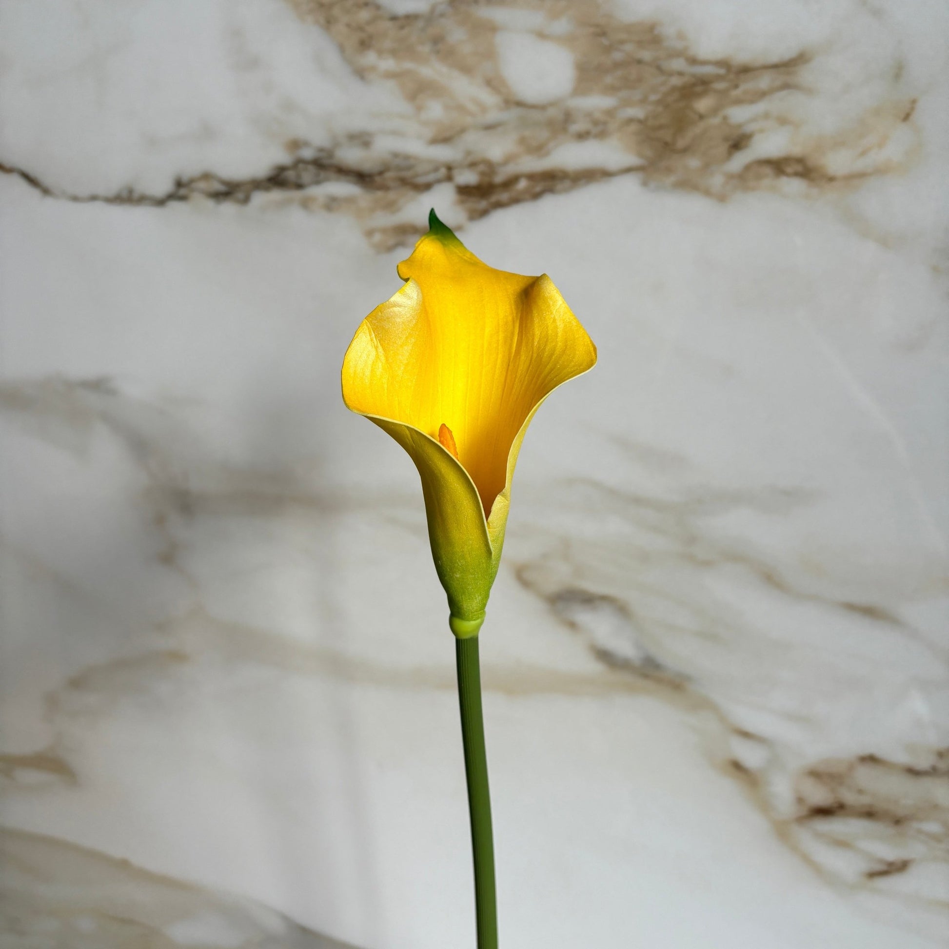 Calla Lilje - Gul - Rare Copenhagen