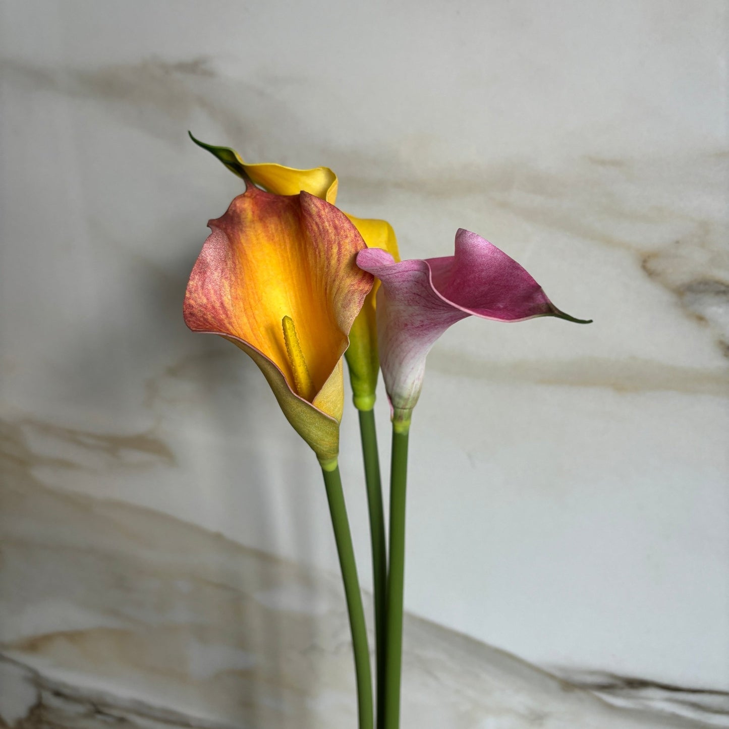 Calla Lilje - Gul - Rare Copenhagen