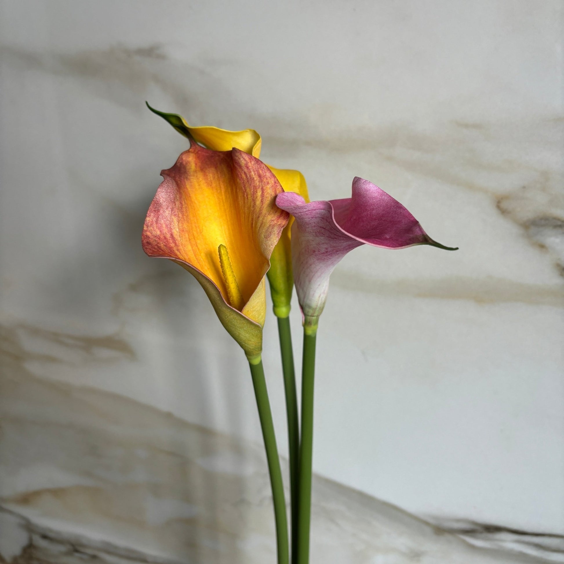 Calla Lilje - Gul - Rare Copenhagen