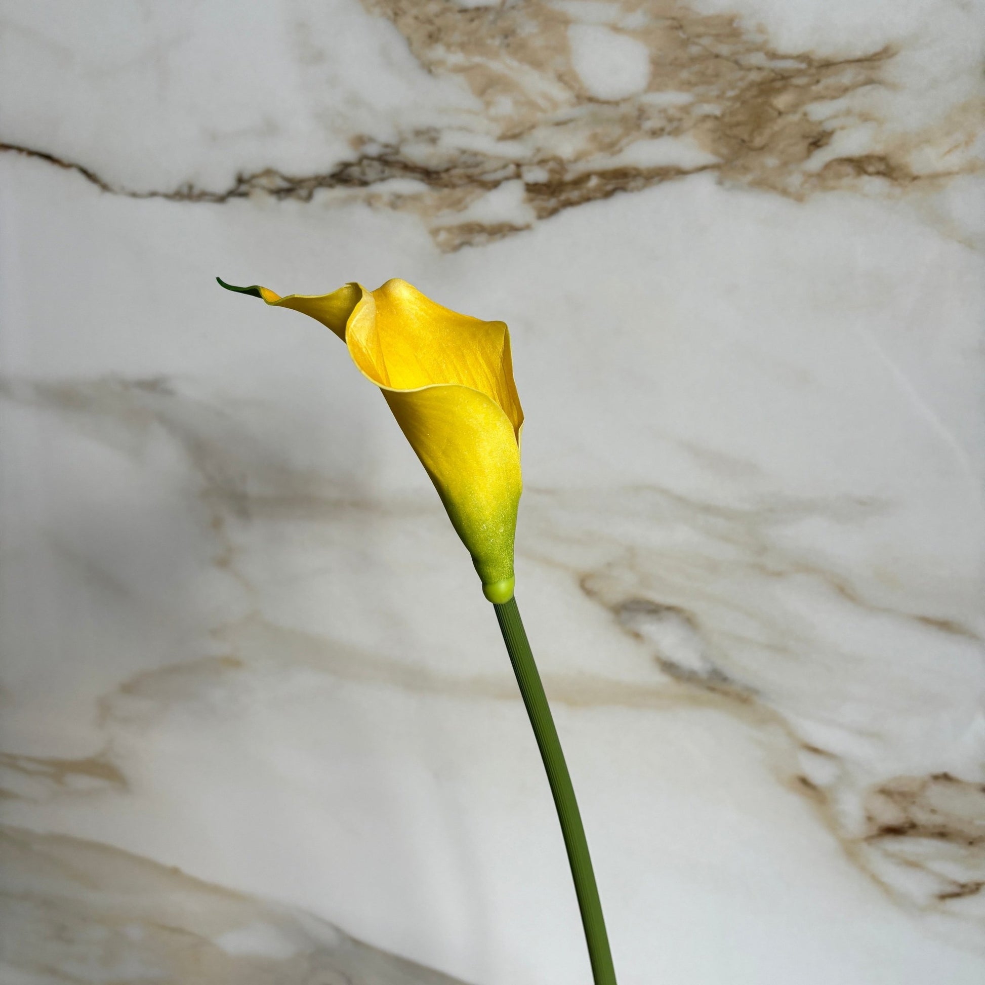 Calla Lilje - Gul - Rare Copenhagen