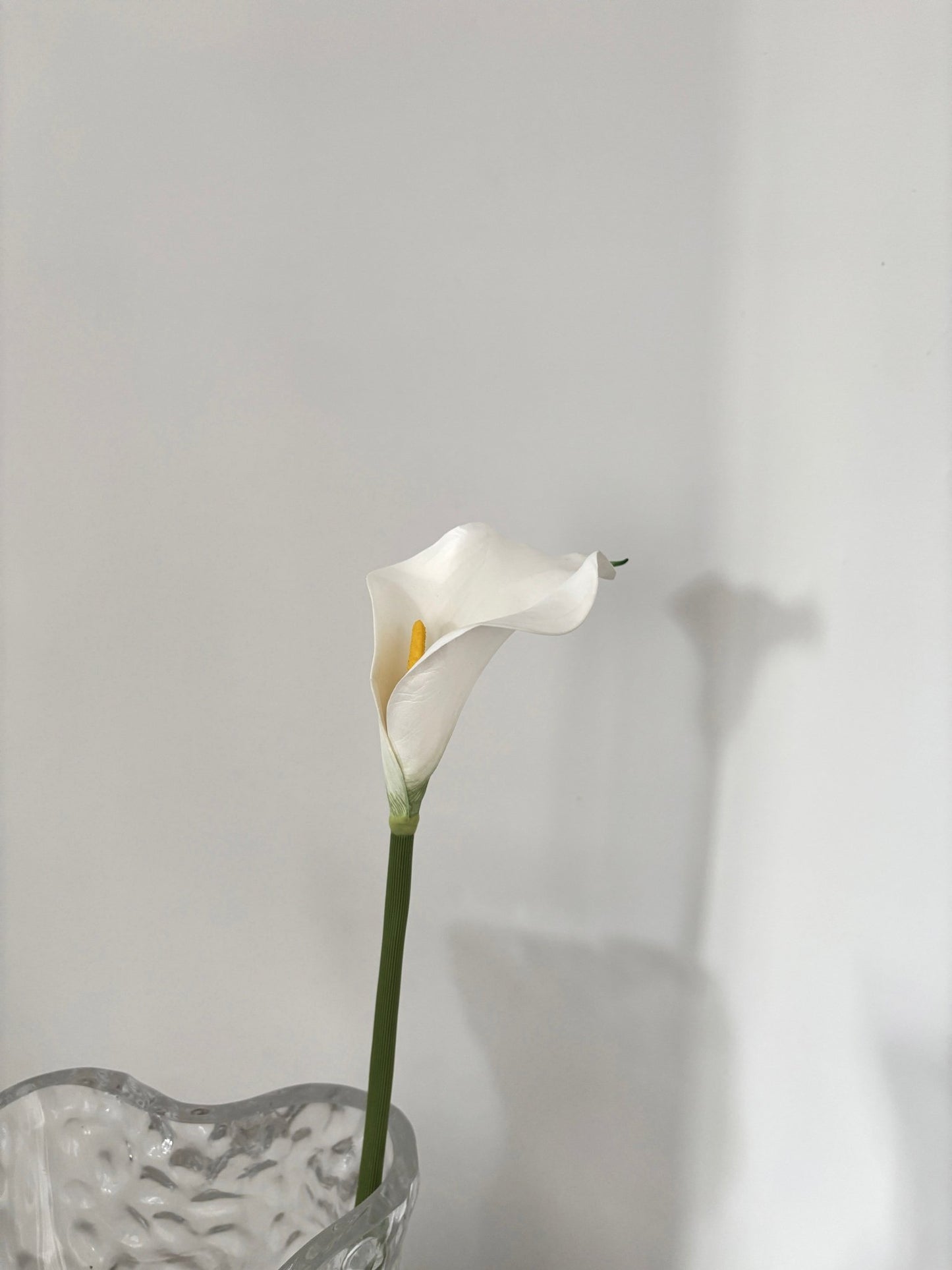 Calla Lilje - Hvid - Rare Copenhagen