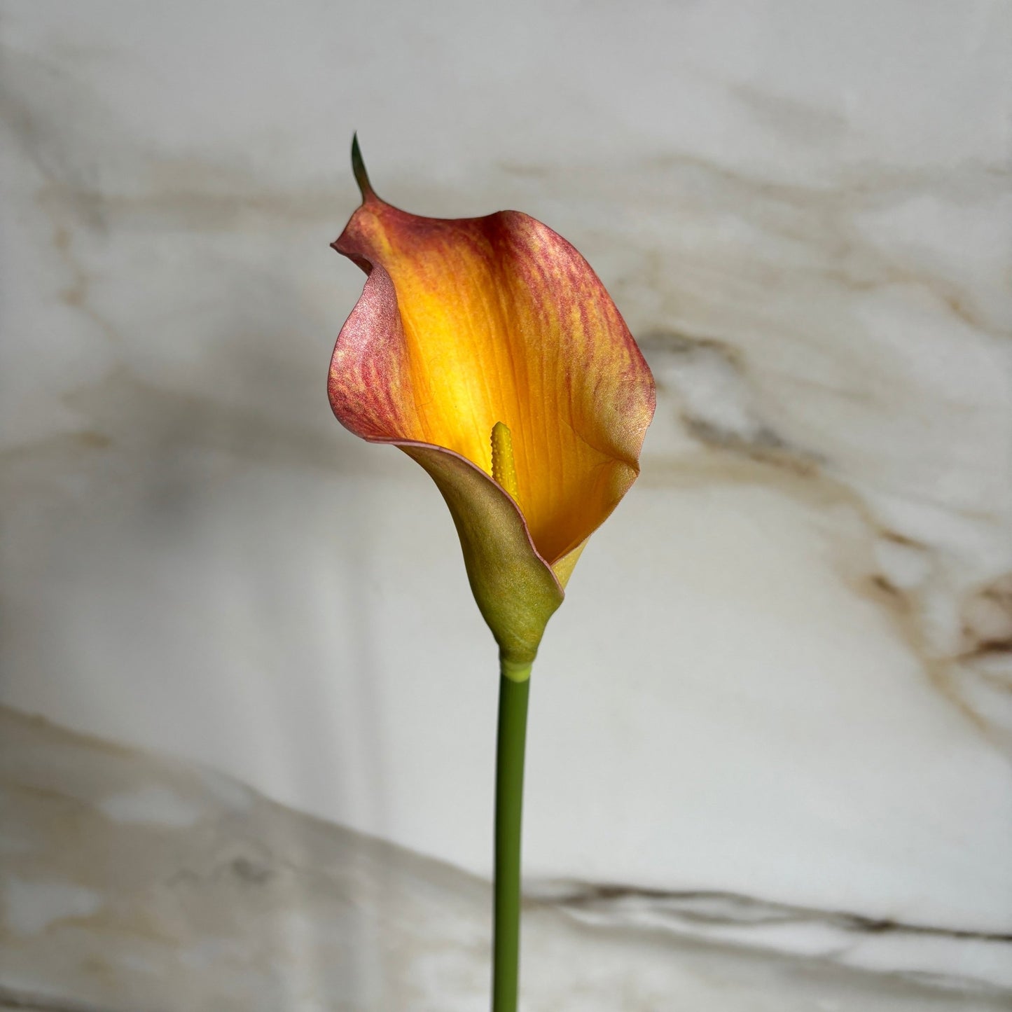 Calla Lilje - Peach - Rare Copenhagen