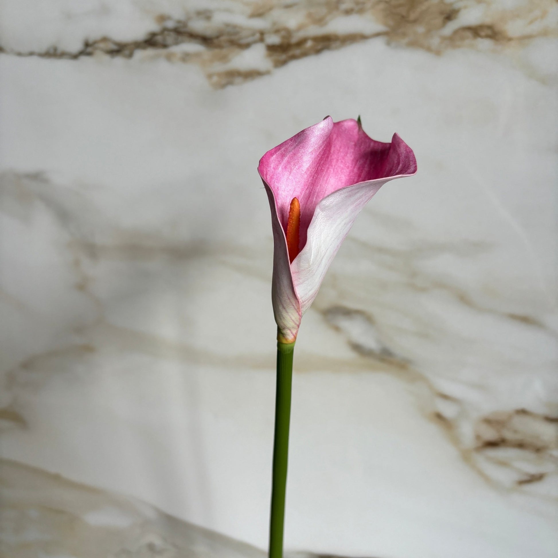 Calla Lilje - Pink - Rare Copenhagen