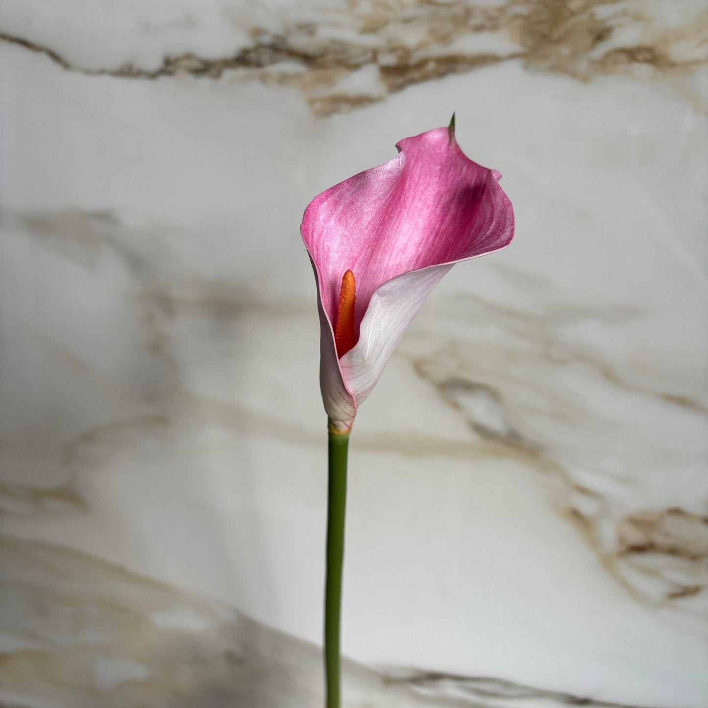 Calla Lilje - Pink - Rare Copenhagen