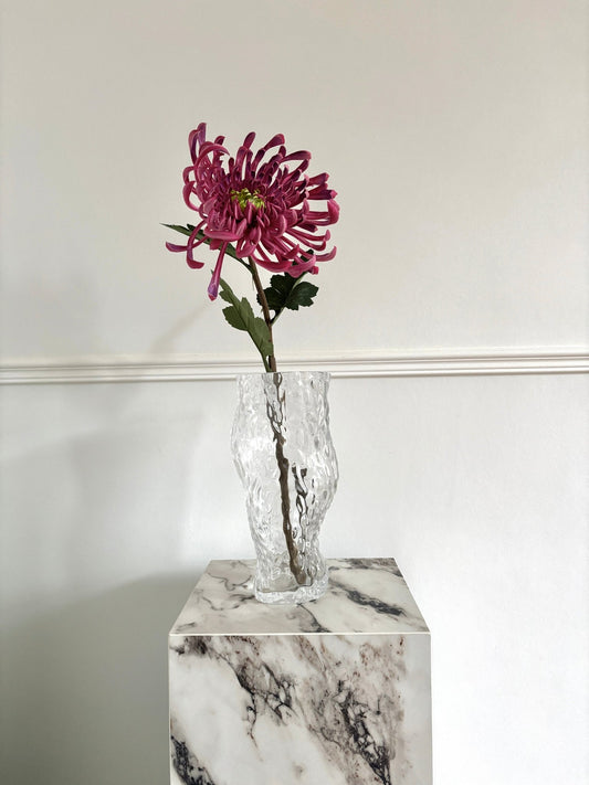 Chrysanthemum Stor - Pink - Rare Copenhagen