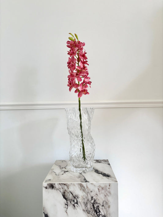 Cymbidium Orkidé - Pink - Rare Copenhagen