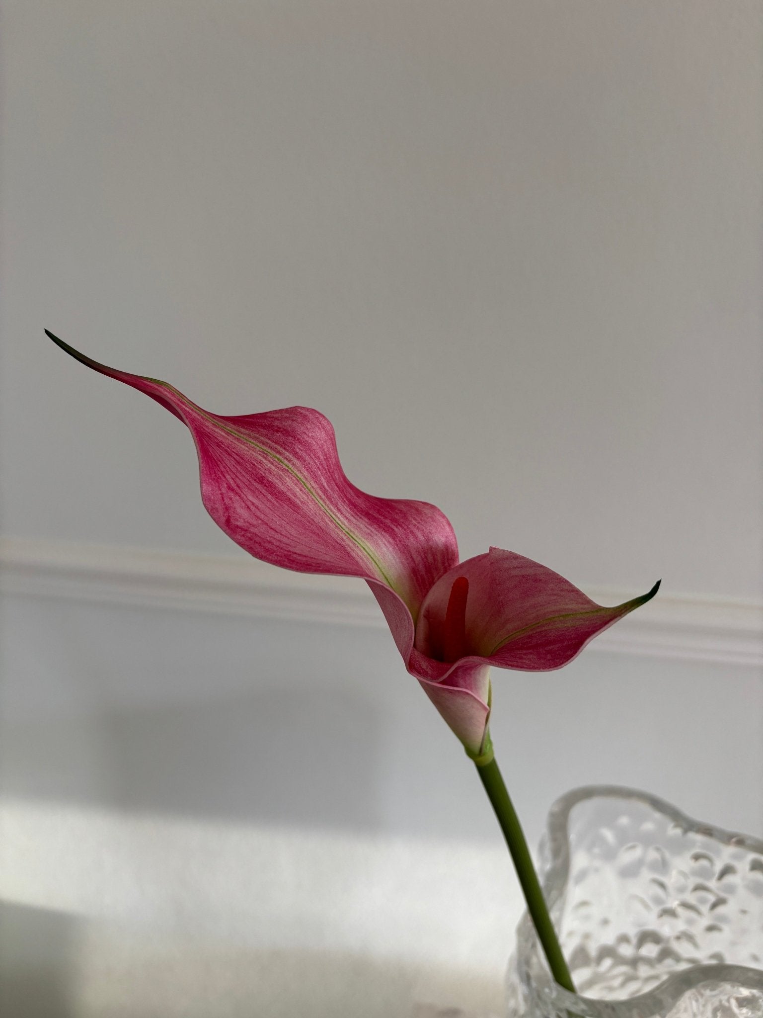 Dobbeltbladet Calla Lilje - Pink - Rare Copenhagen