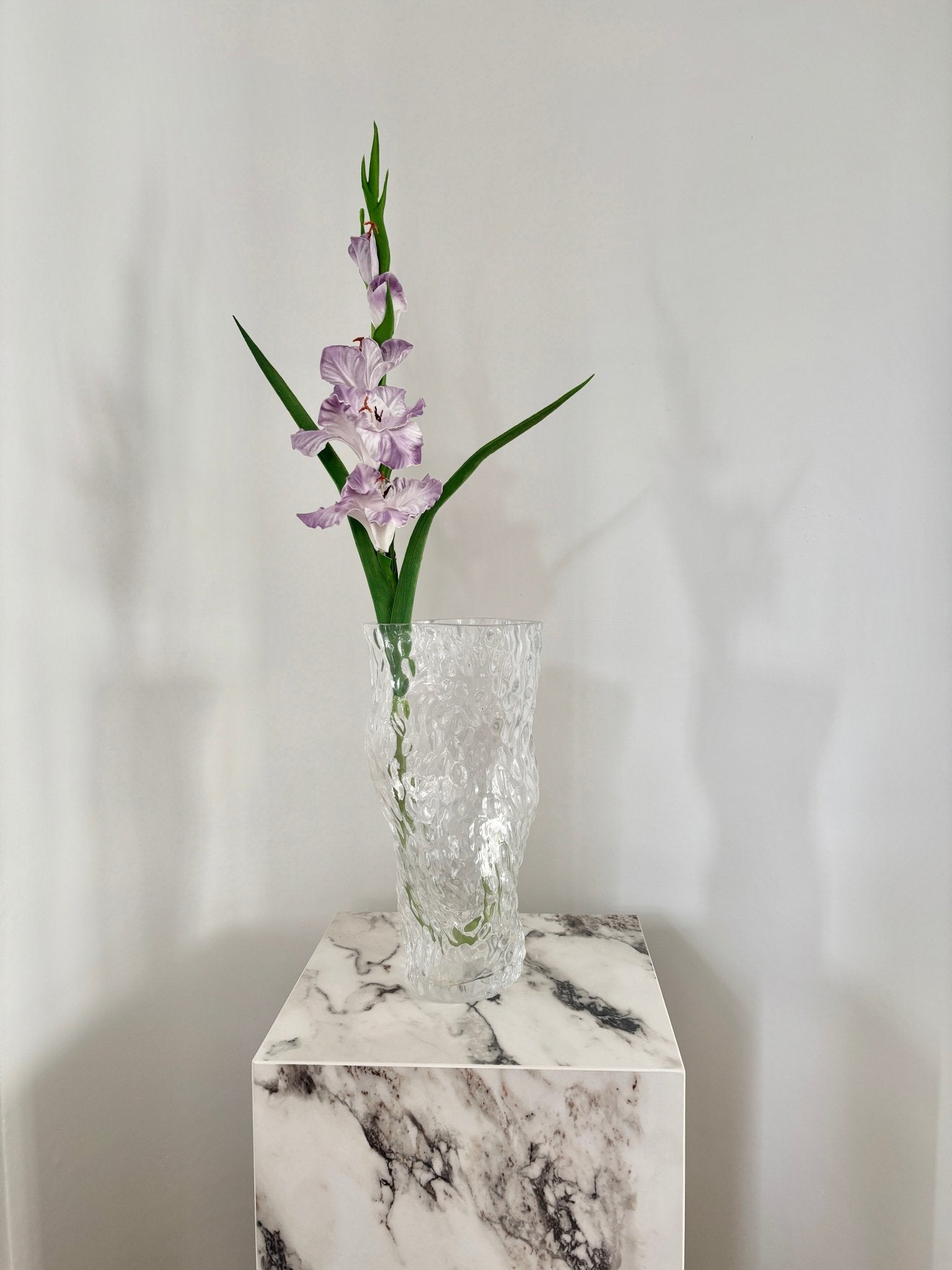 Gladiolus - Lilla - Rare Copenhagen