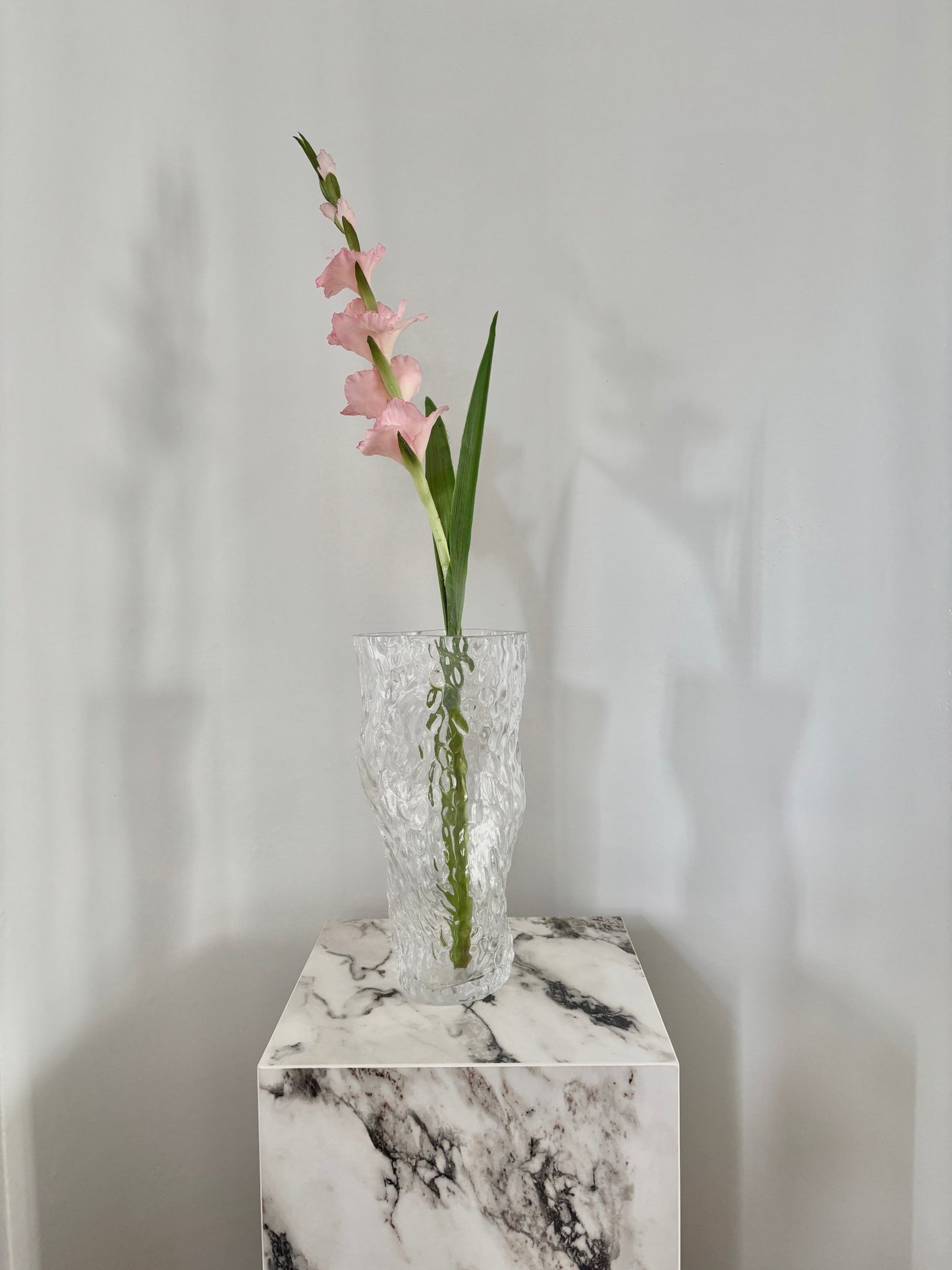 Gladiolus - Lyserød - Rare Copenhagen